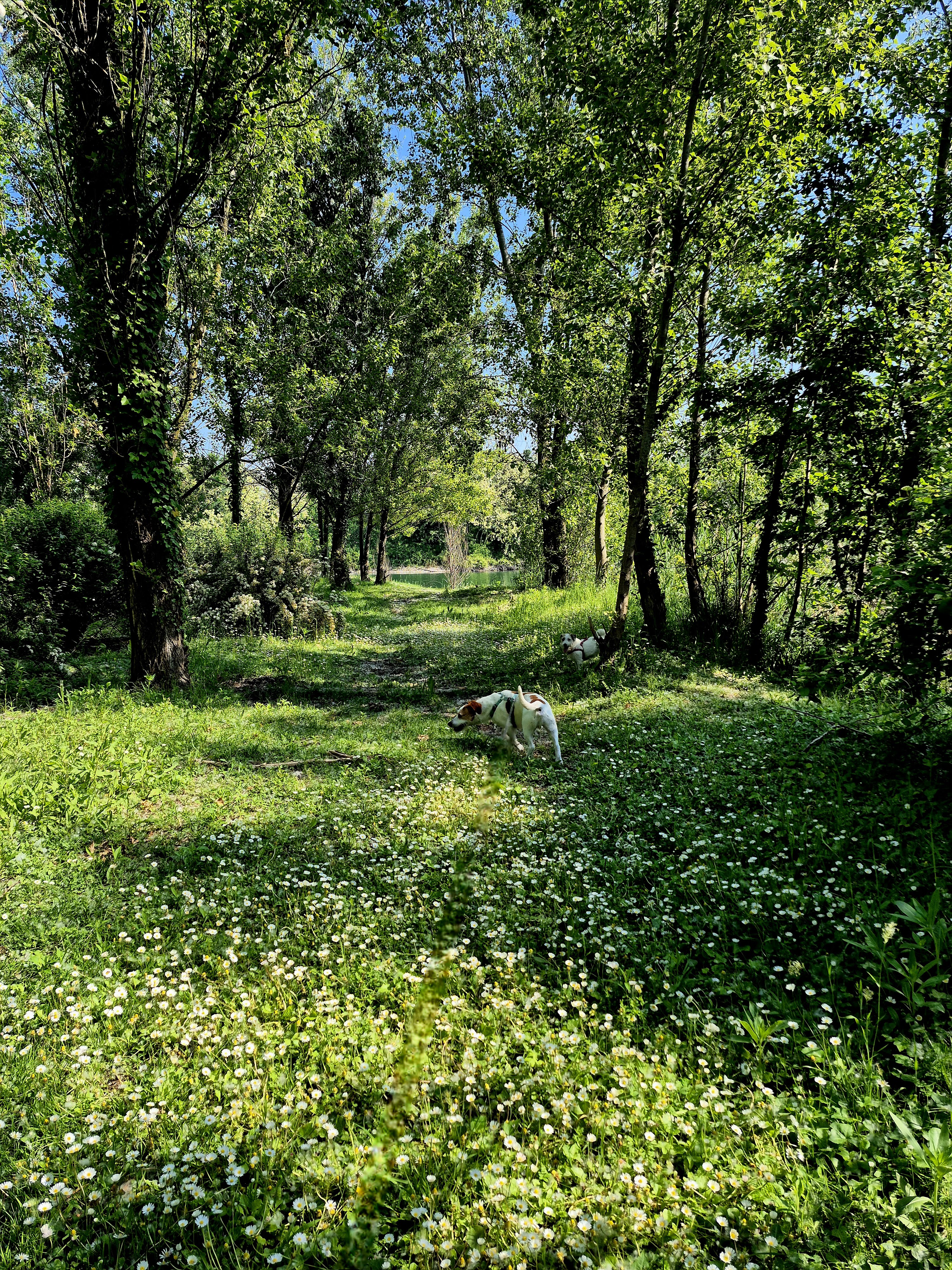 image-20