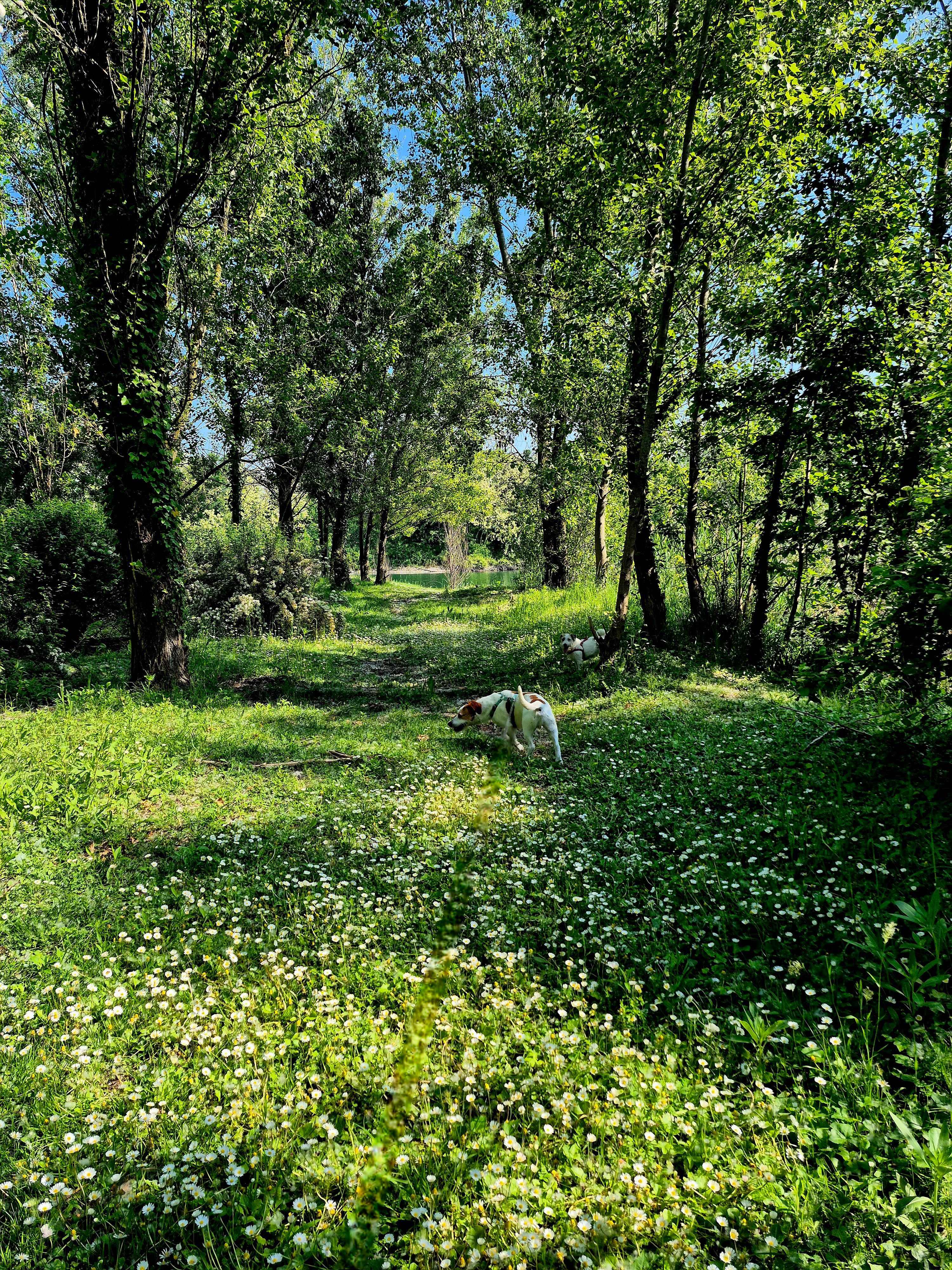 image-20