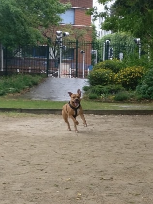 image-10