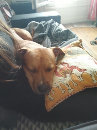 image-8