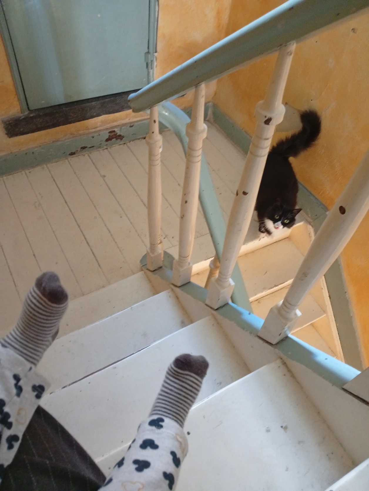 image-13