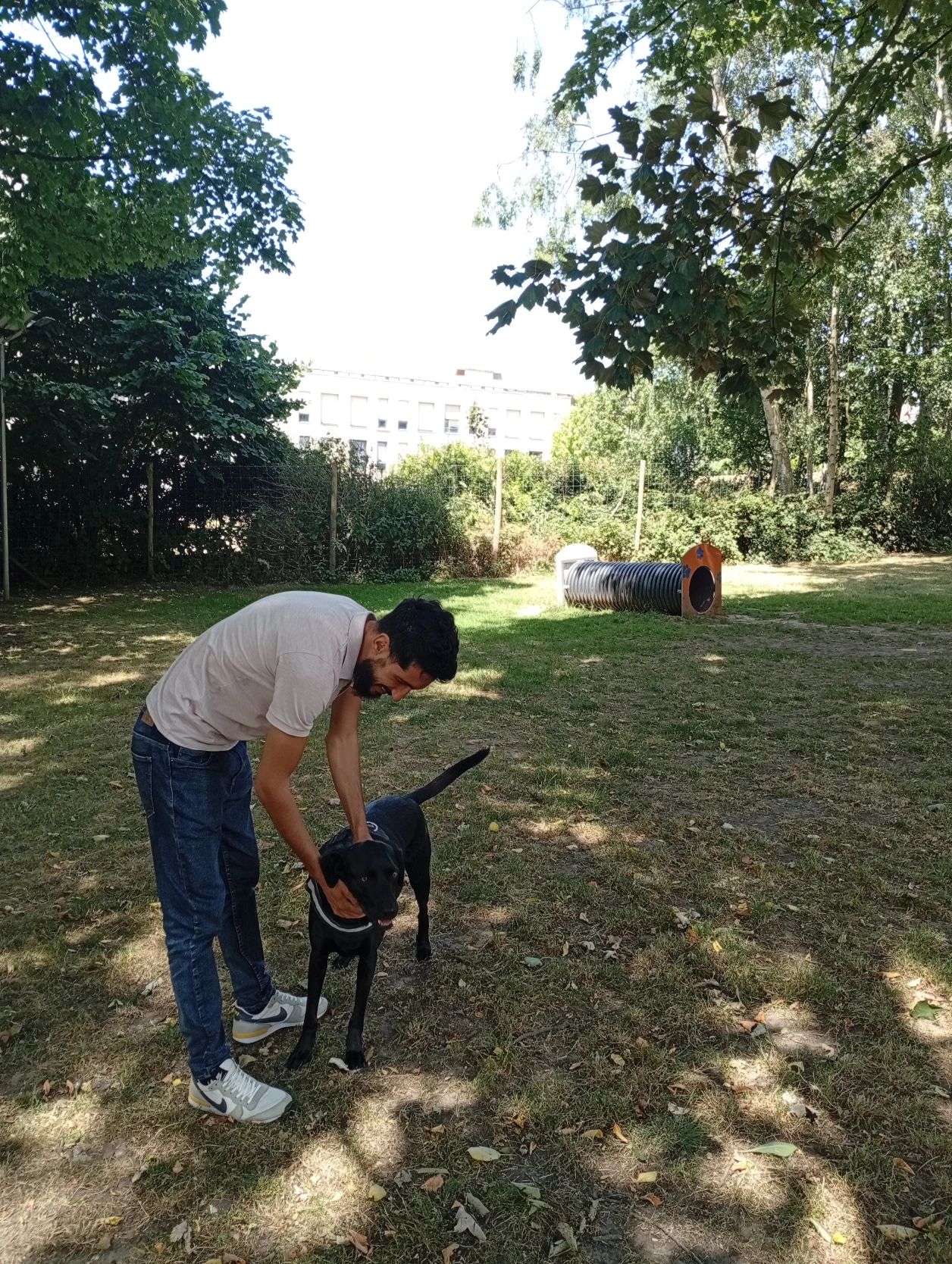 image-9