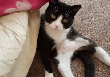 Pixel