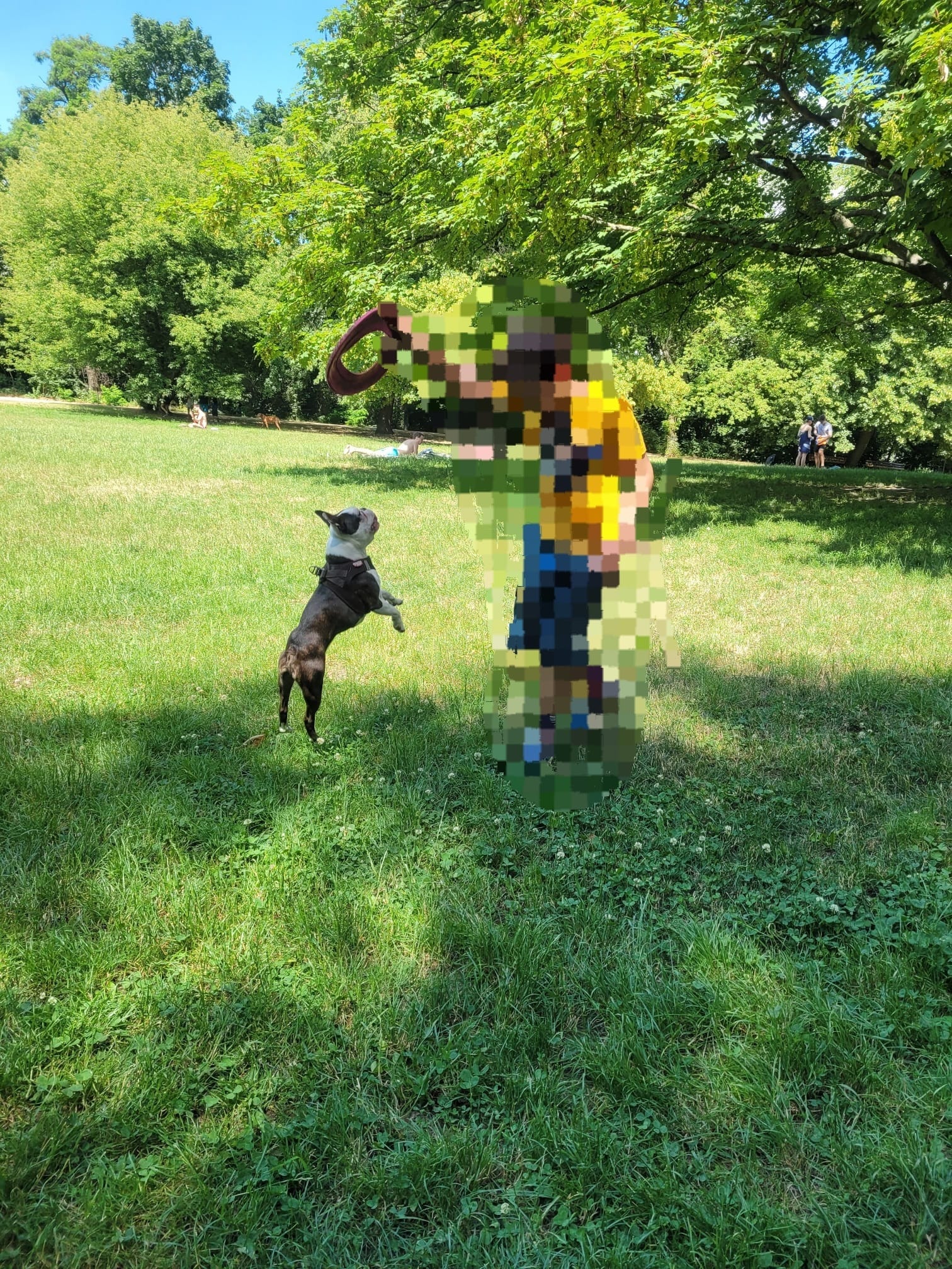 image-13
