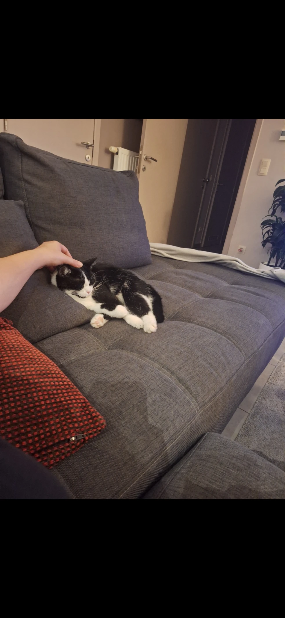 image-10