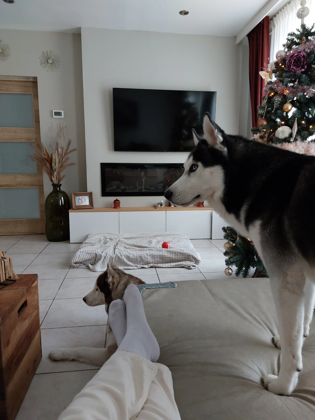 image-3