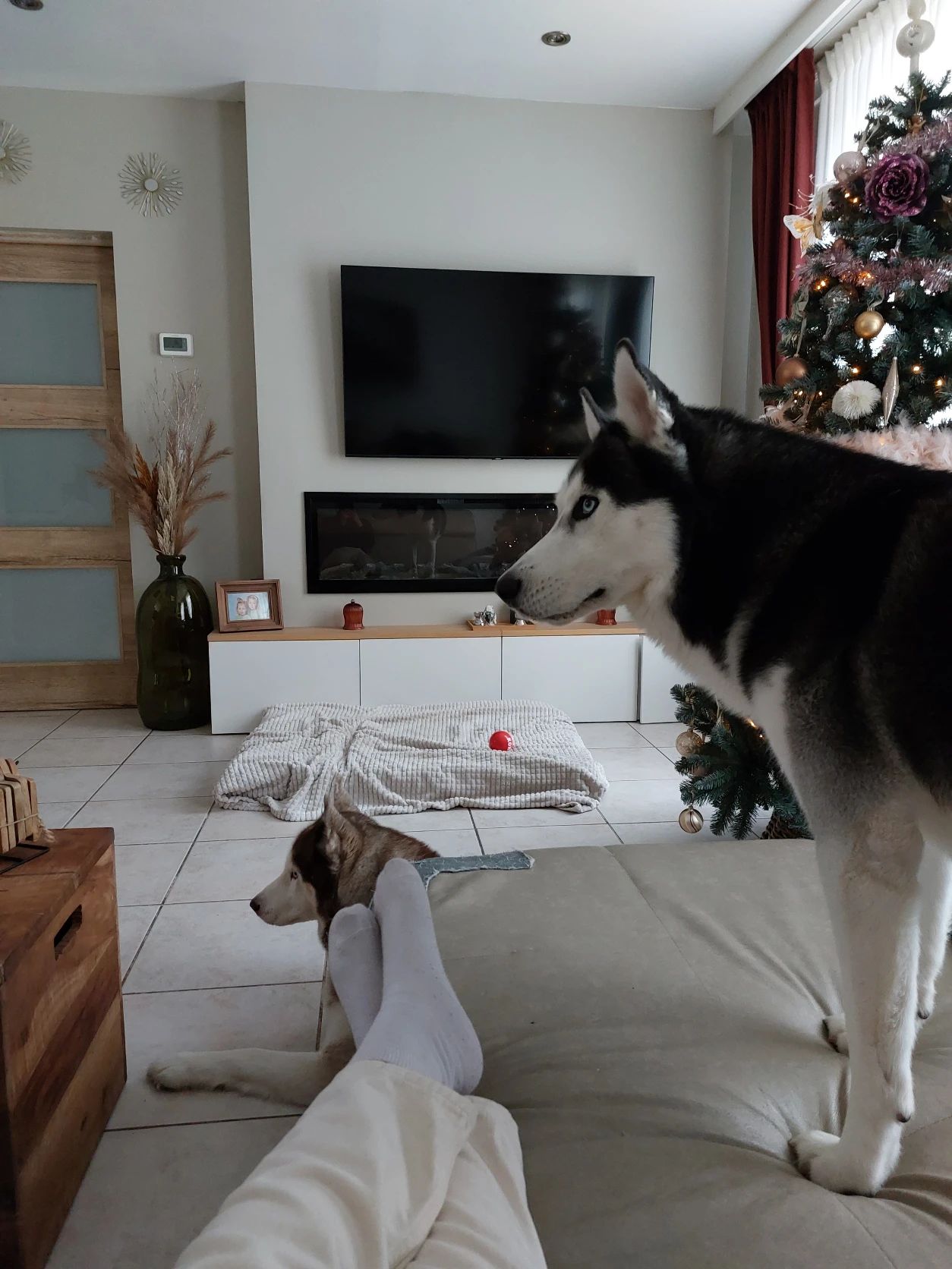 image-3