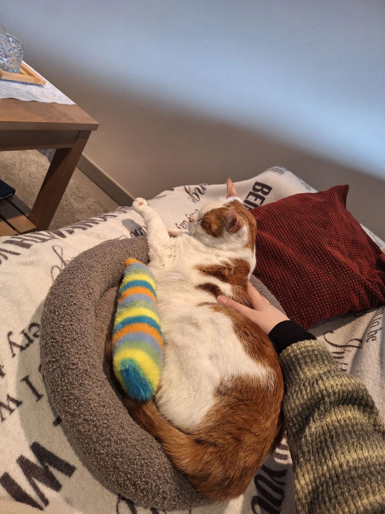 image-6
