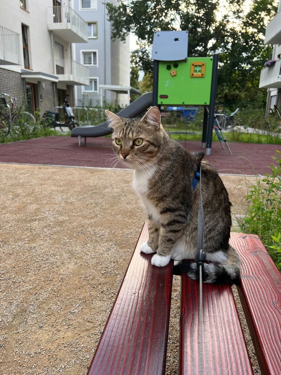 image-16