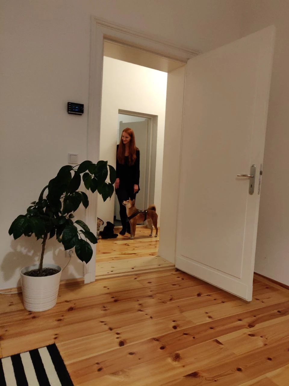 image-5