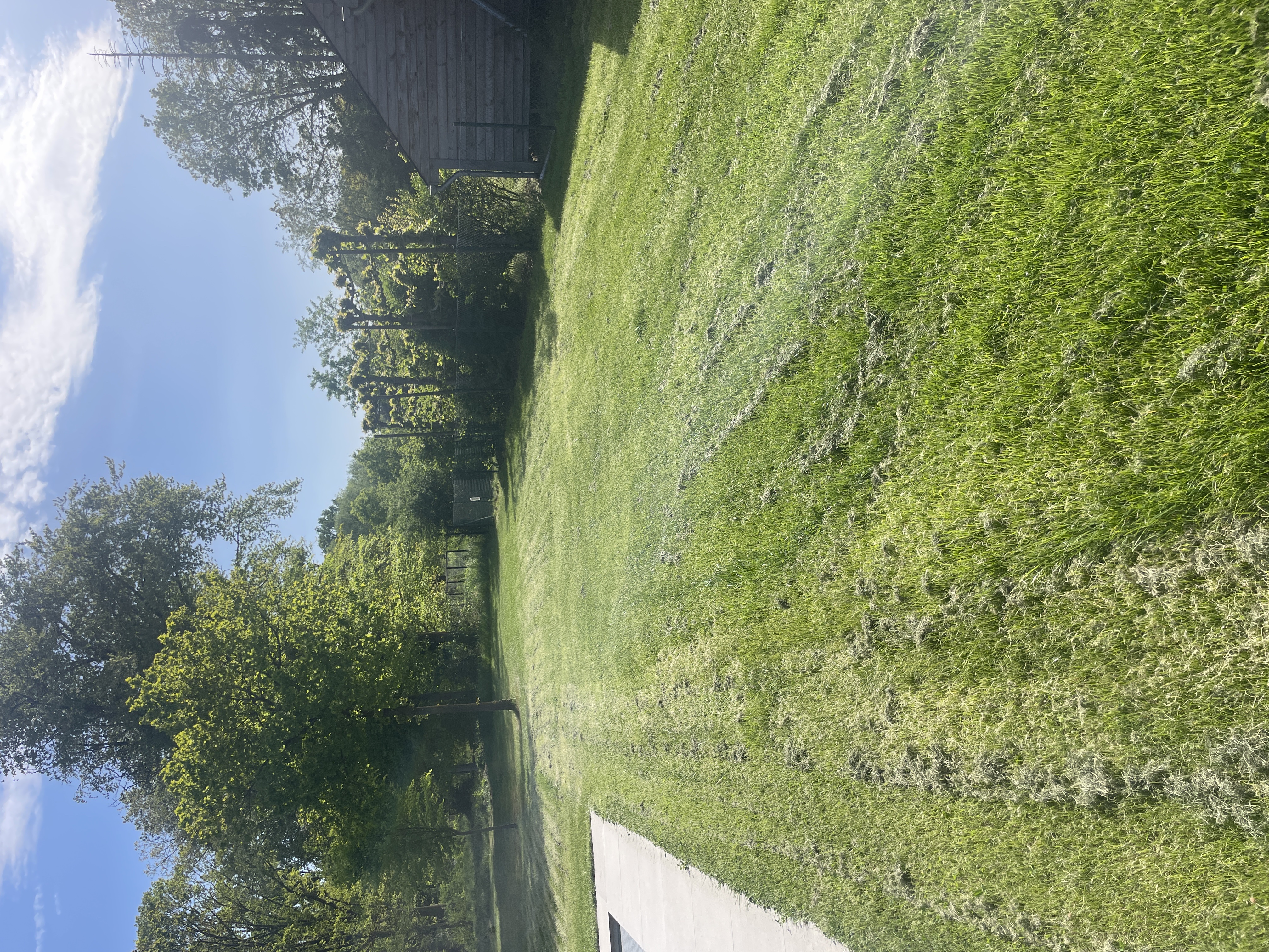 image-14