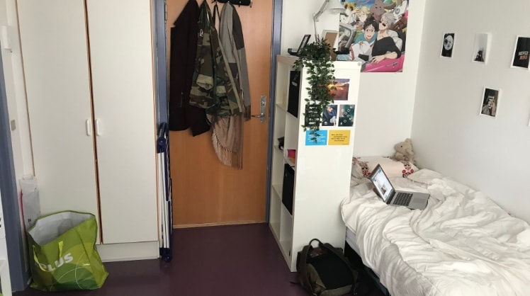 image-3