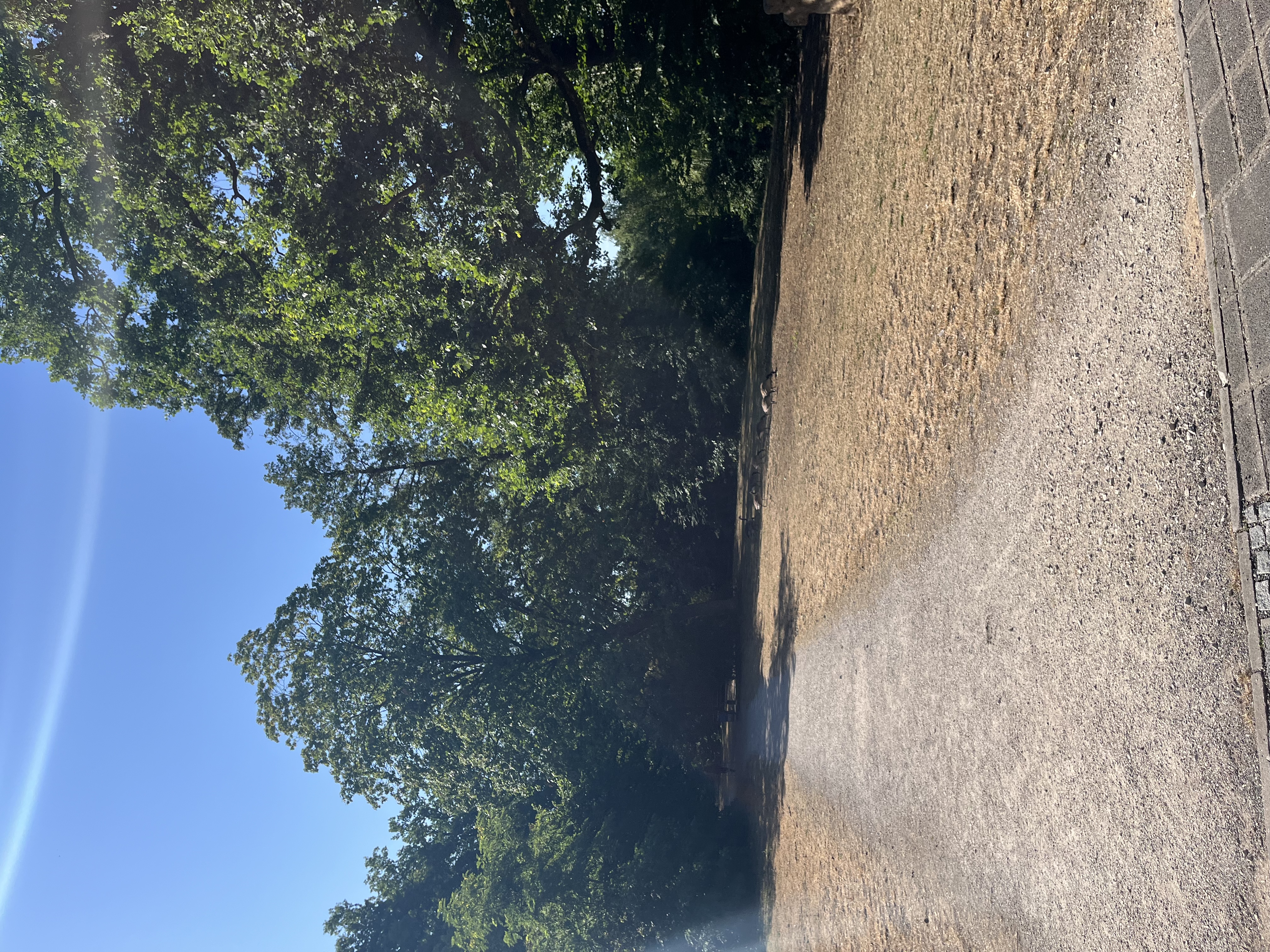 image-17