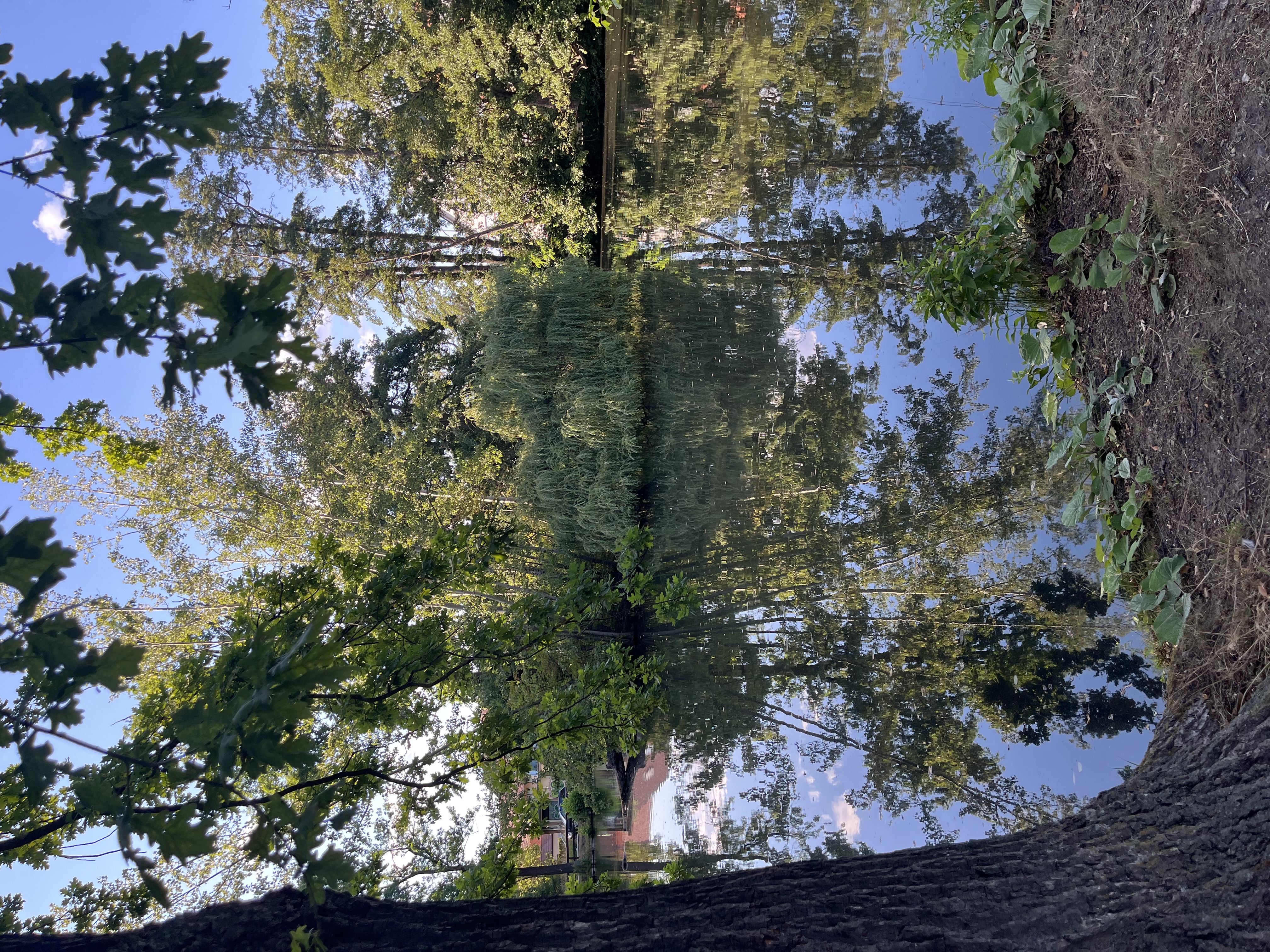 image-15