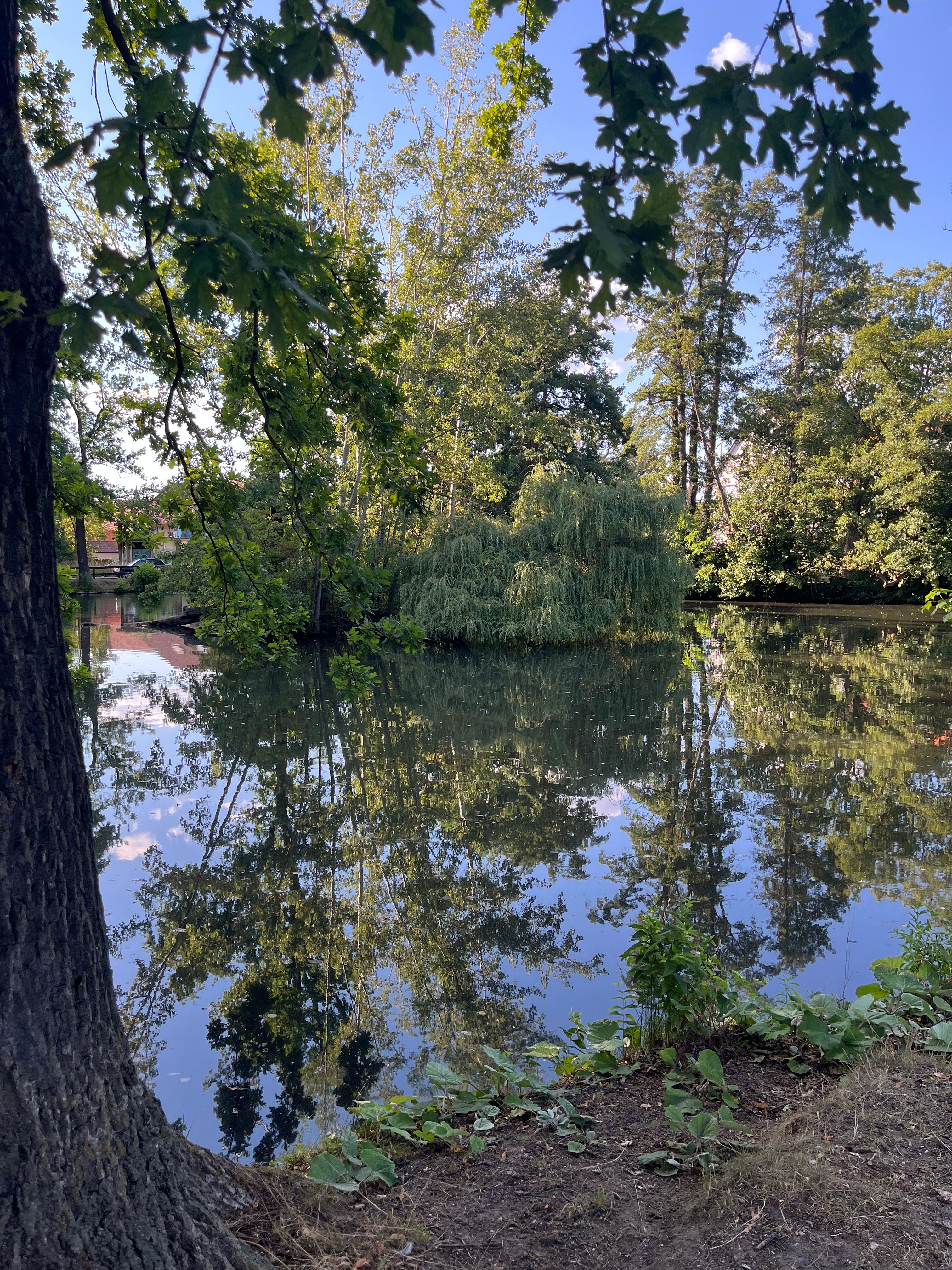 image-15