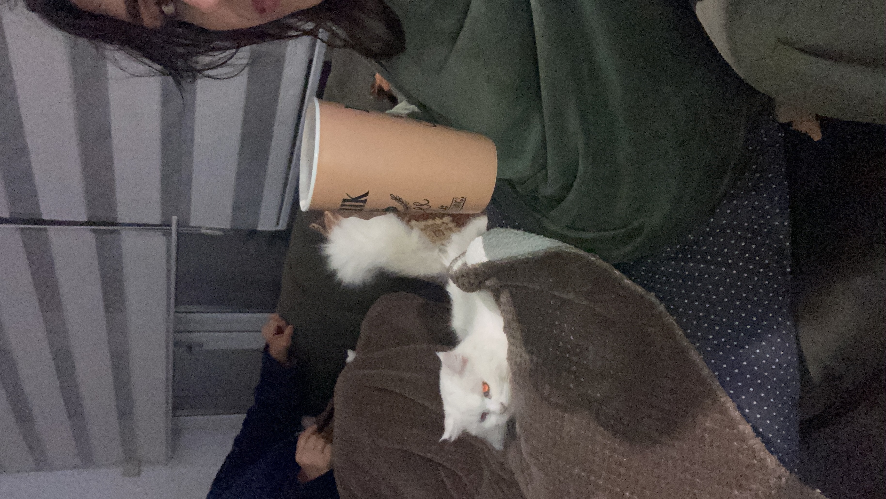 image-8