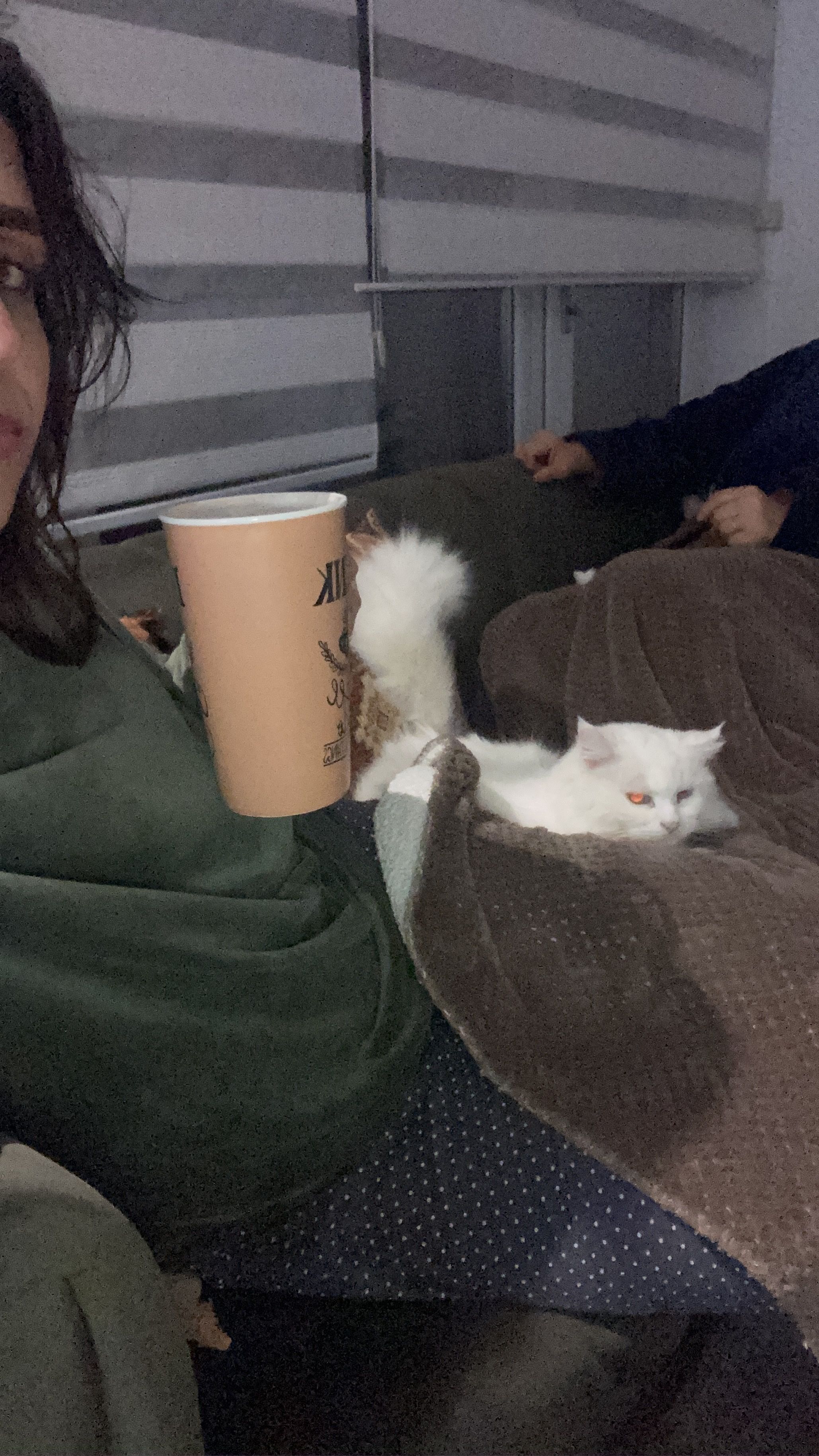 image-8
