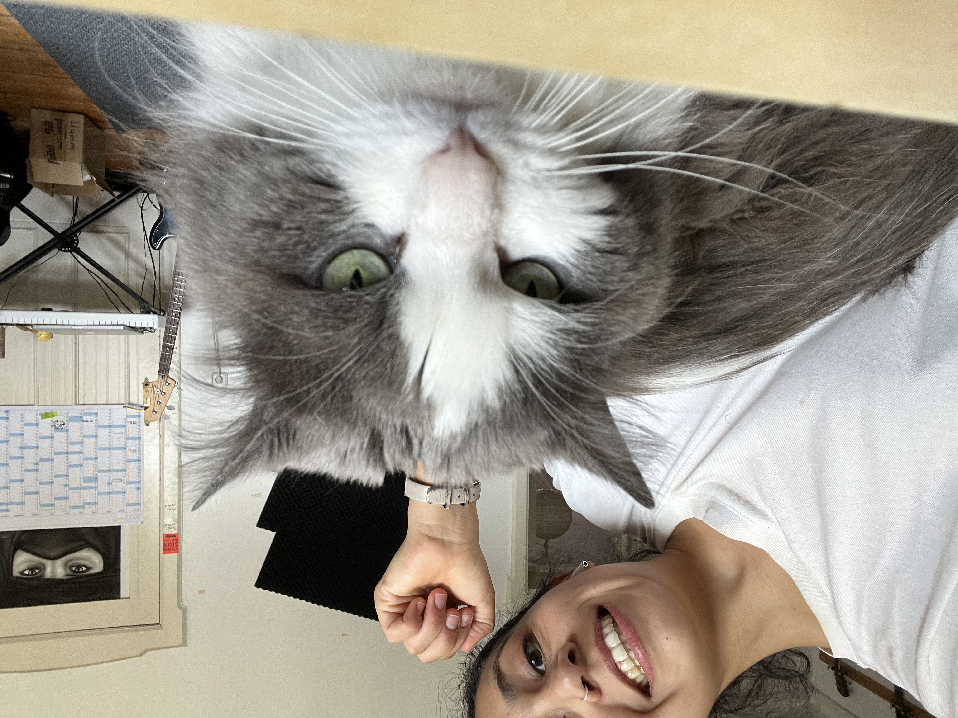 image-6