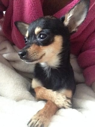 image-4