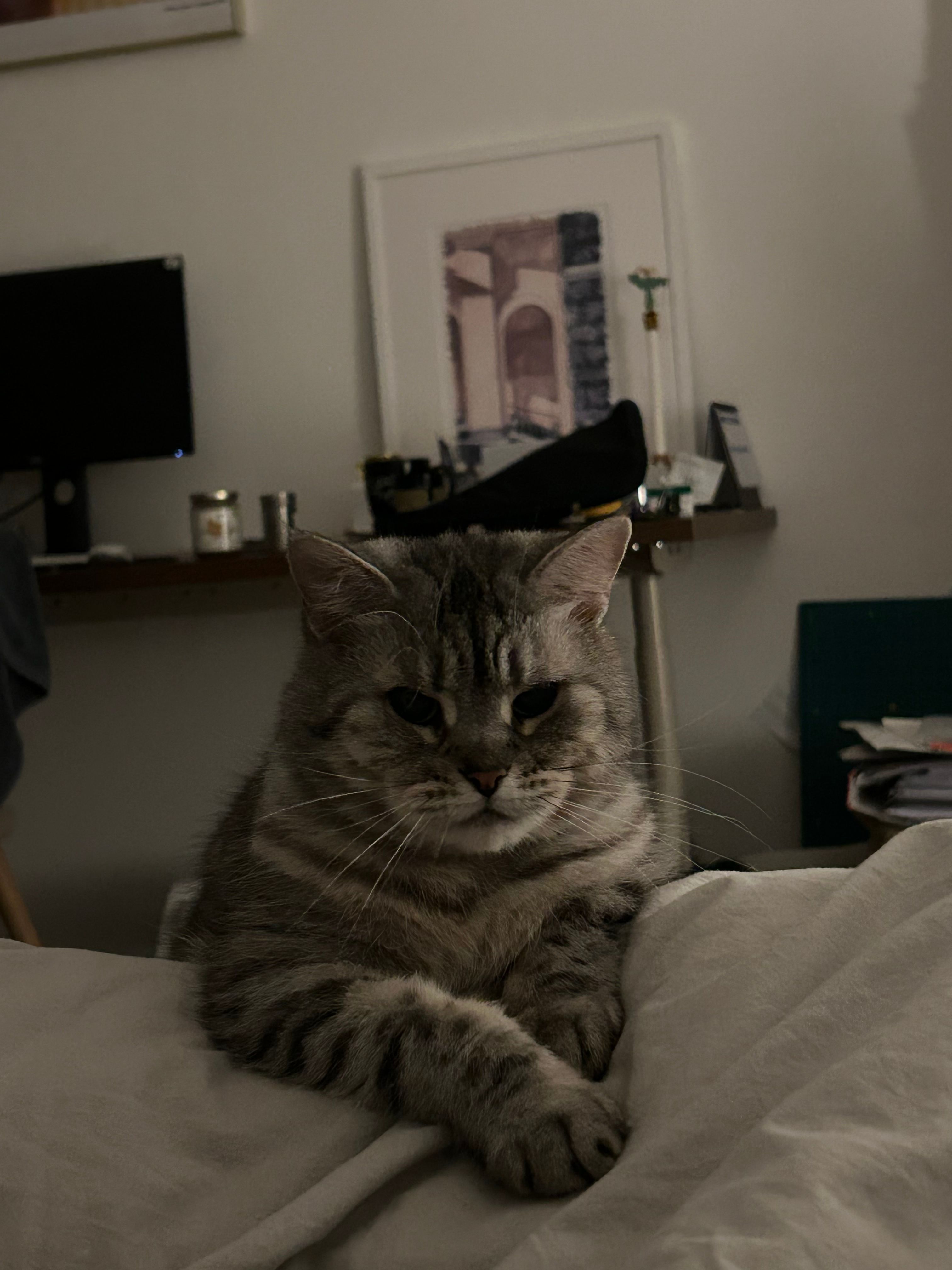 image-8