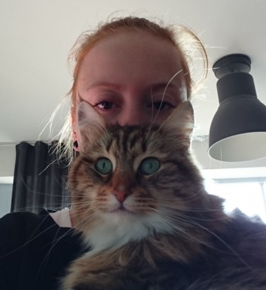 image-8