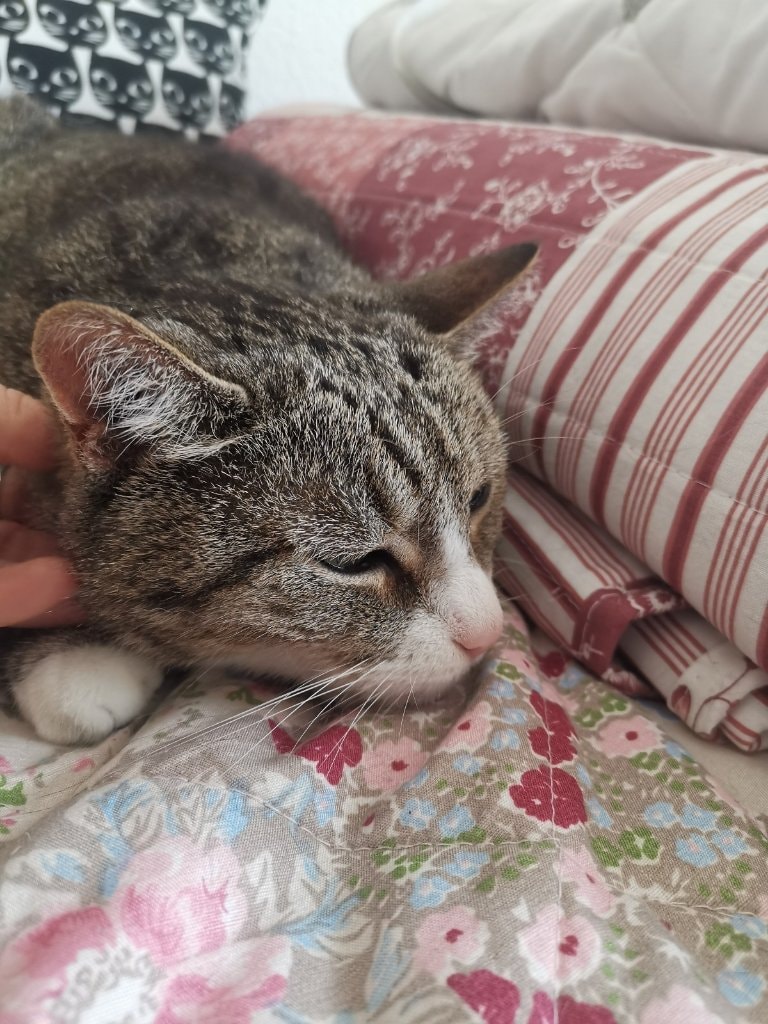 image-13