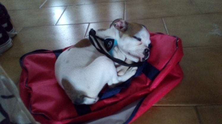 image-6