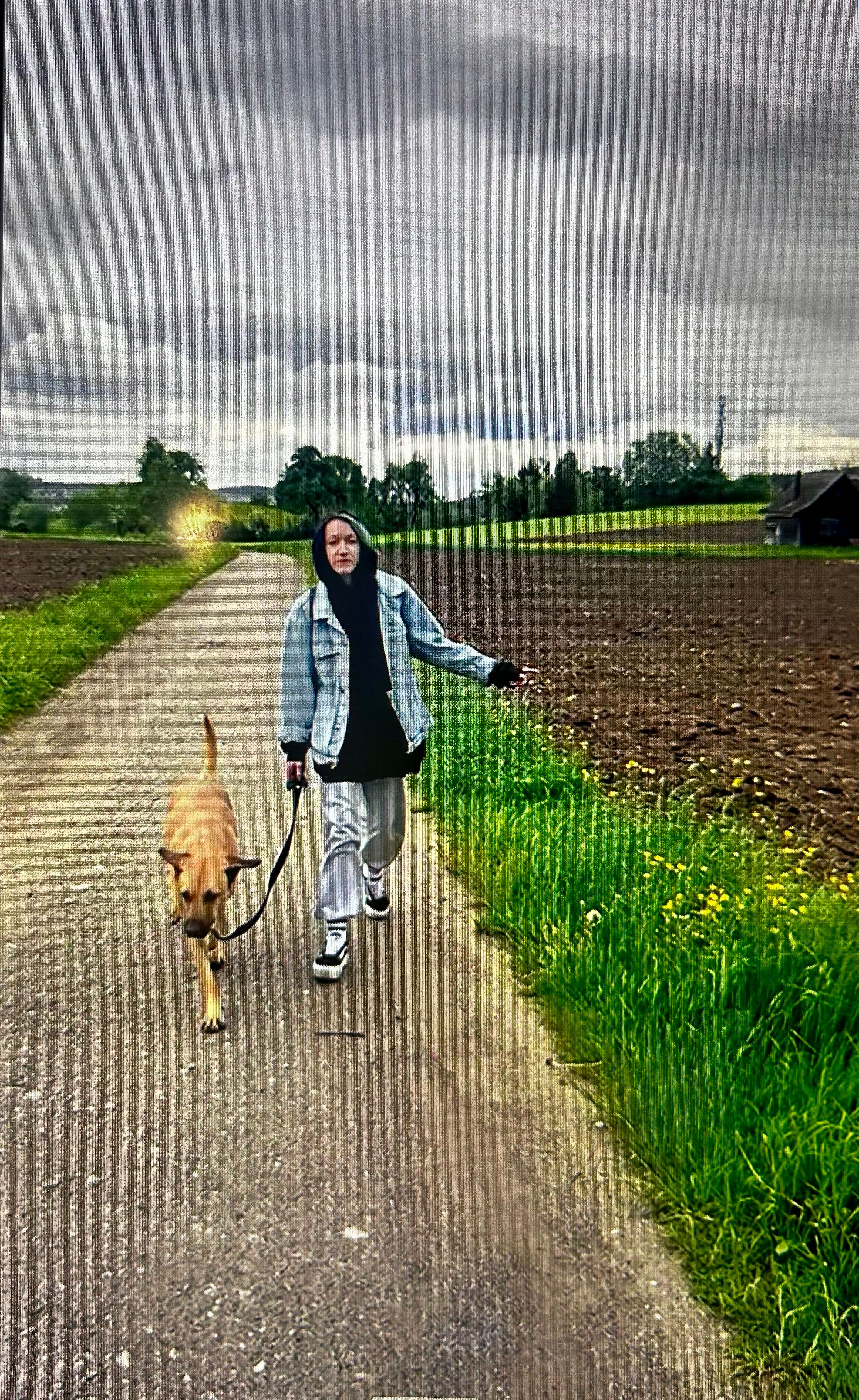 image-15