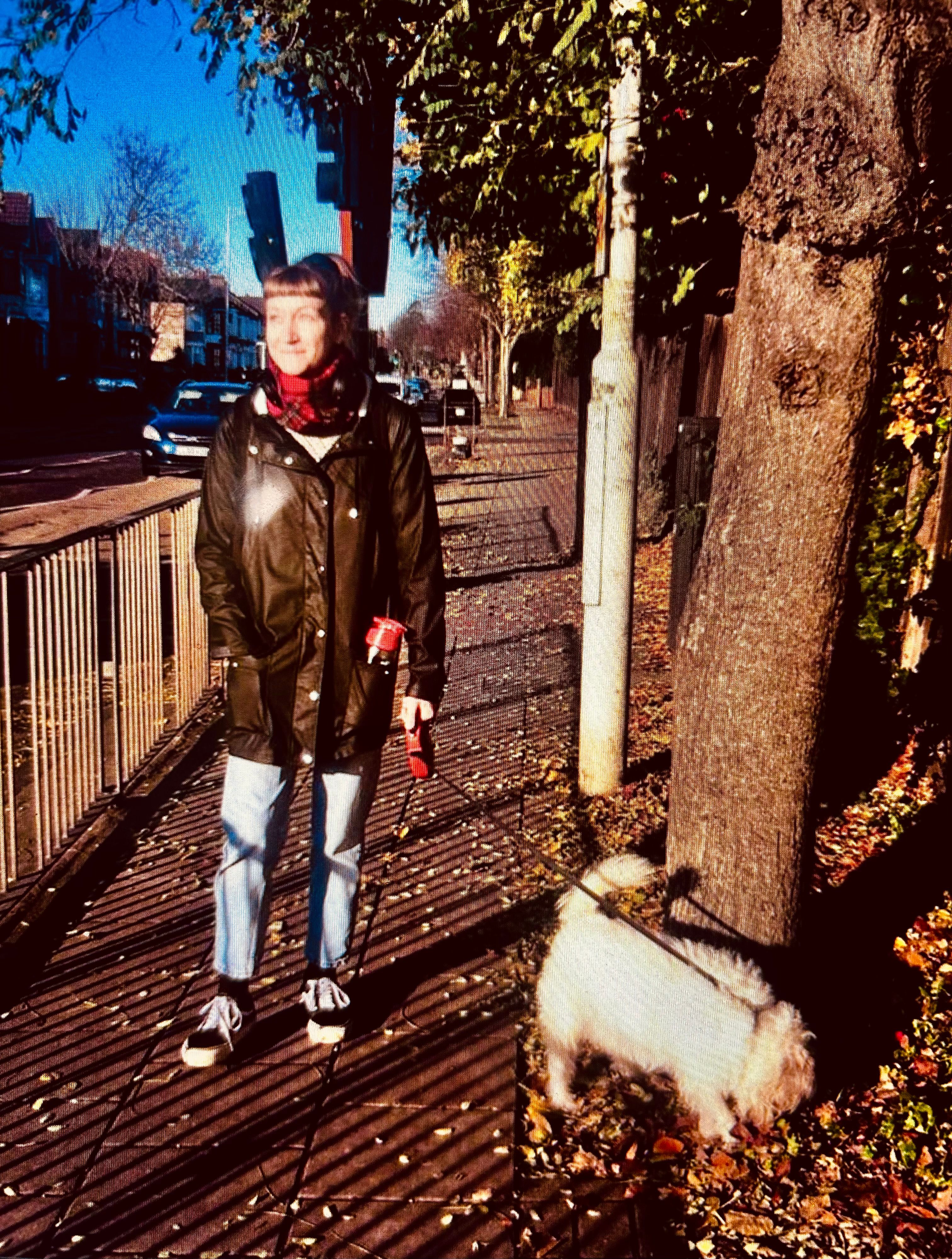 image-10