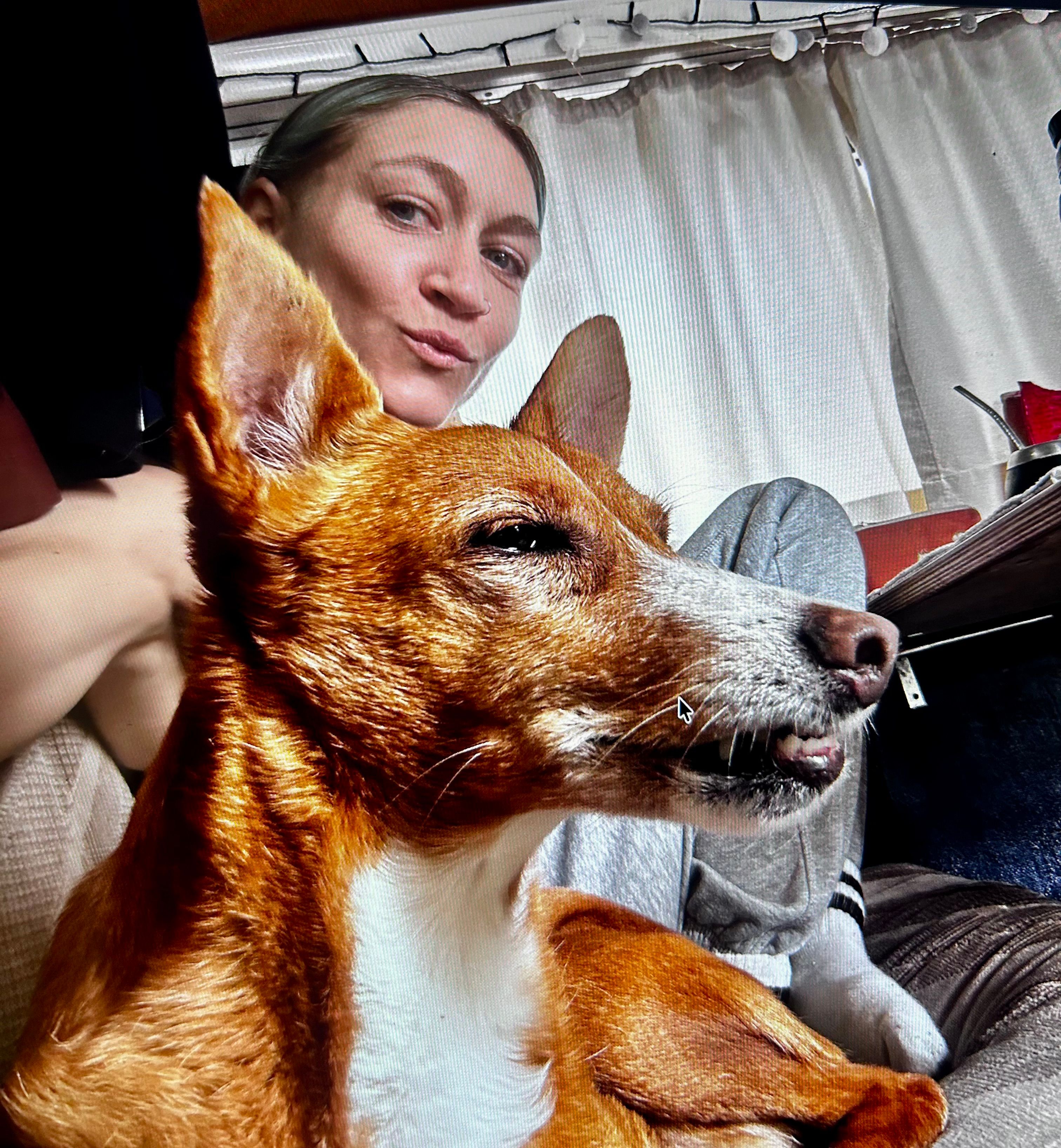 image-16