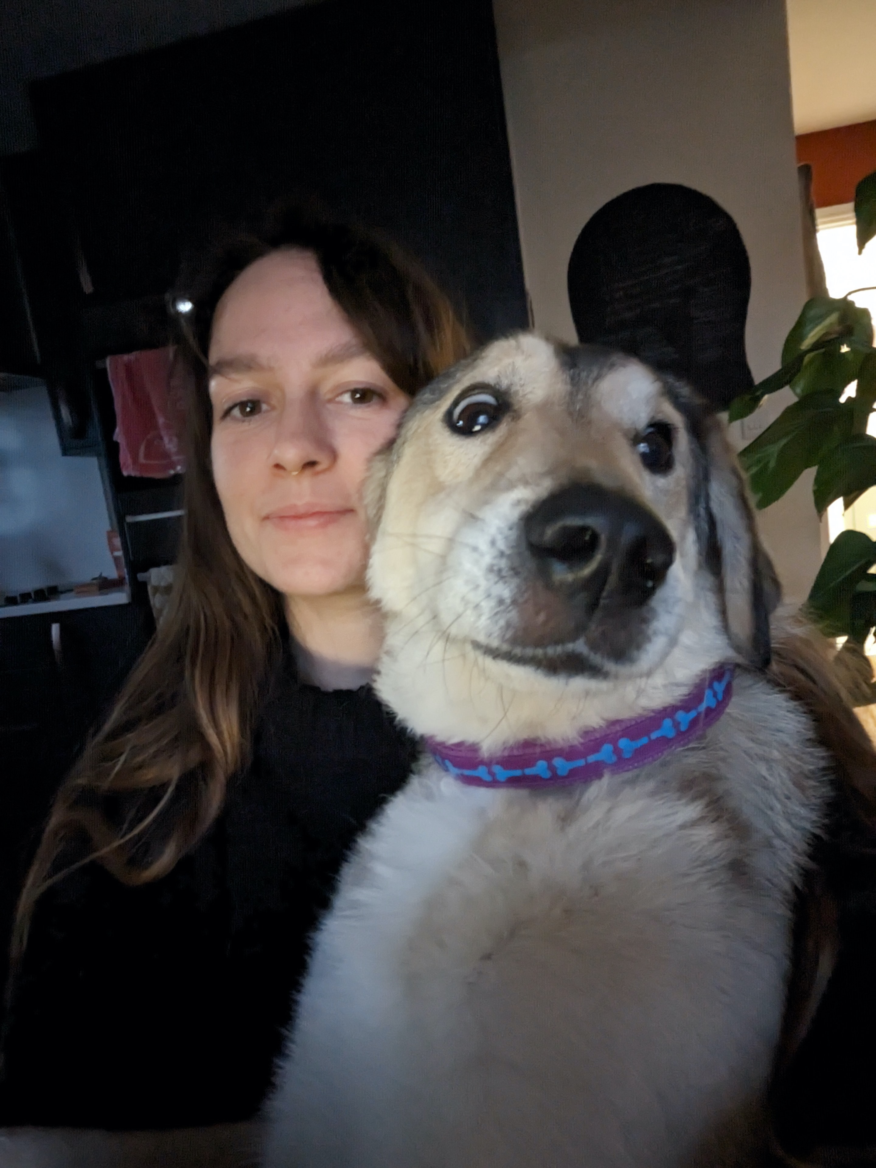image-5