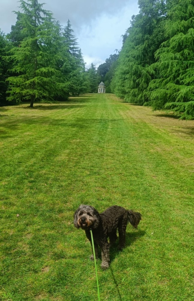 image-5