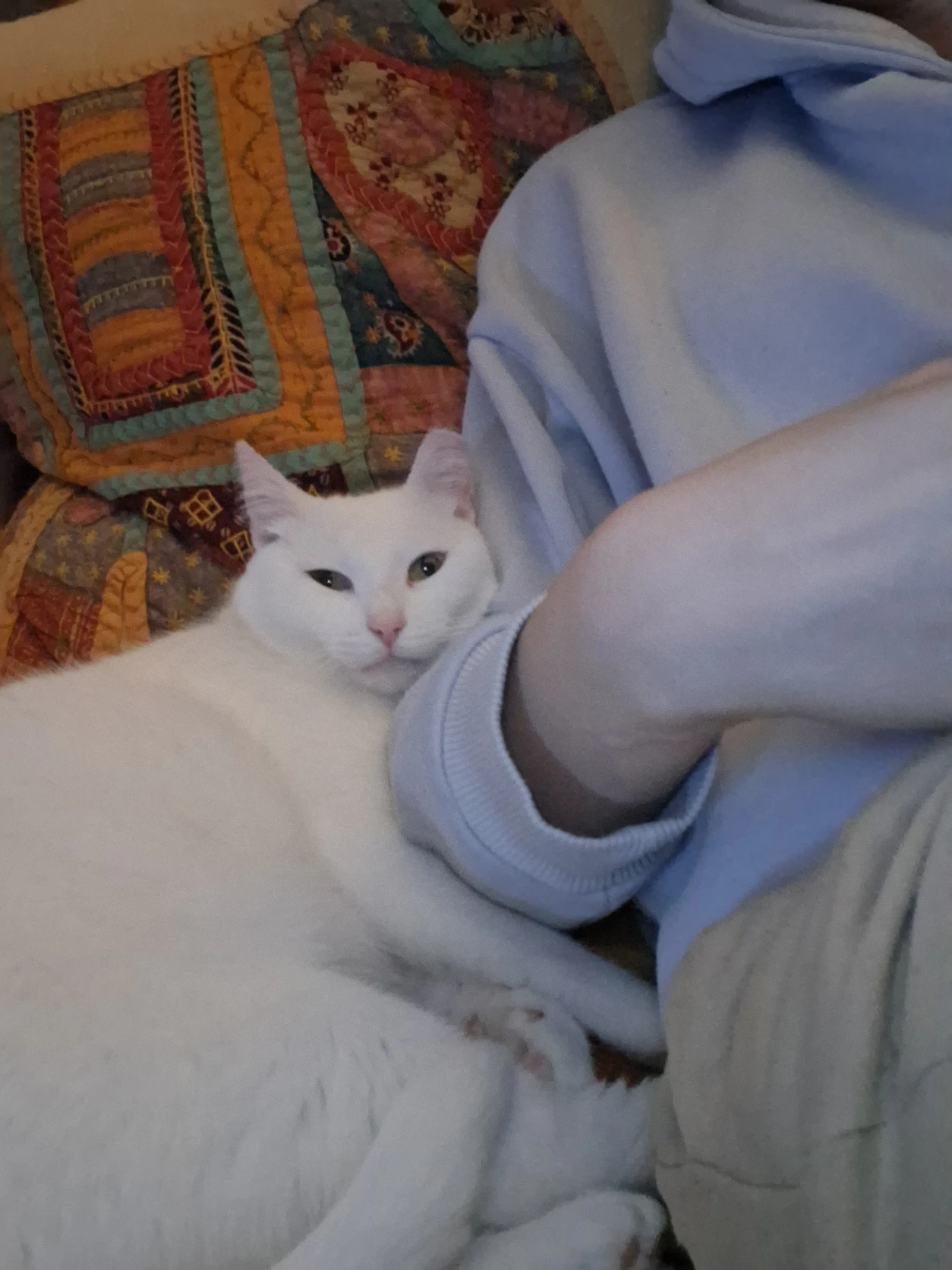 image-9