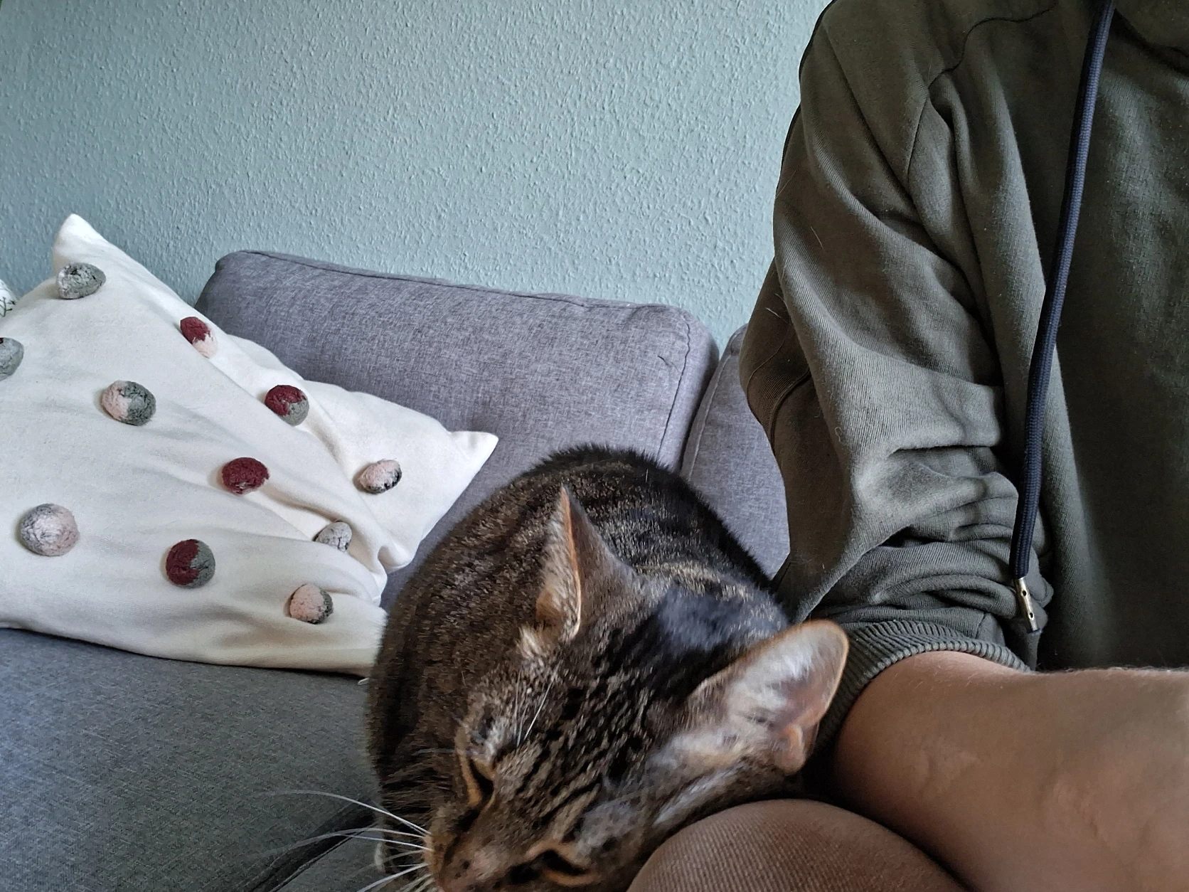image-7
