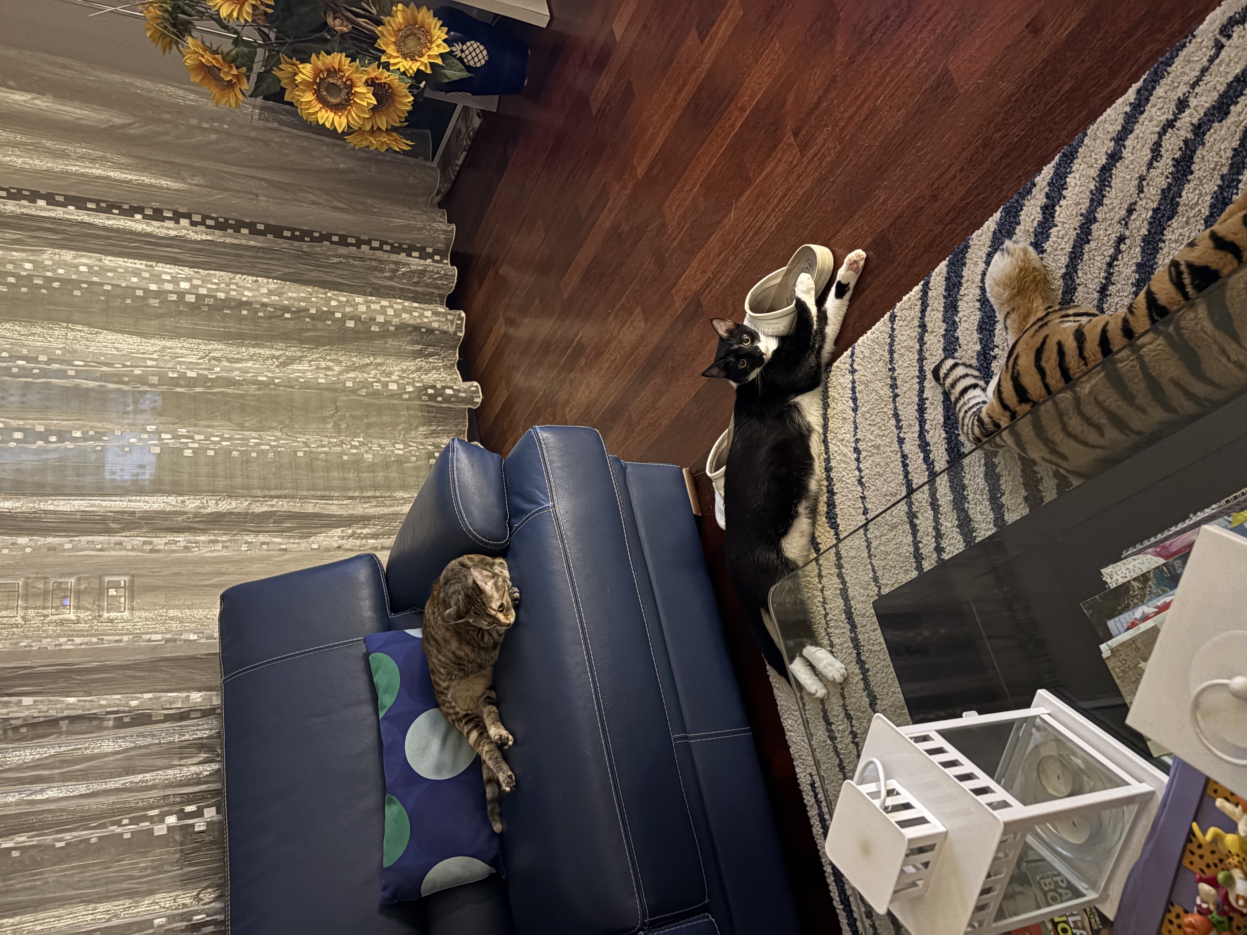 image-9