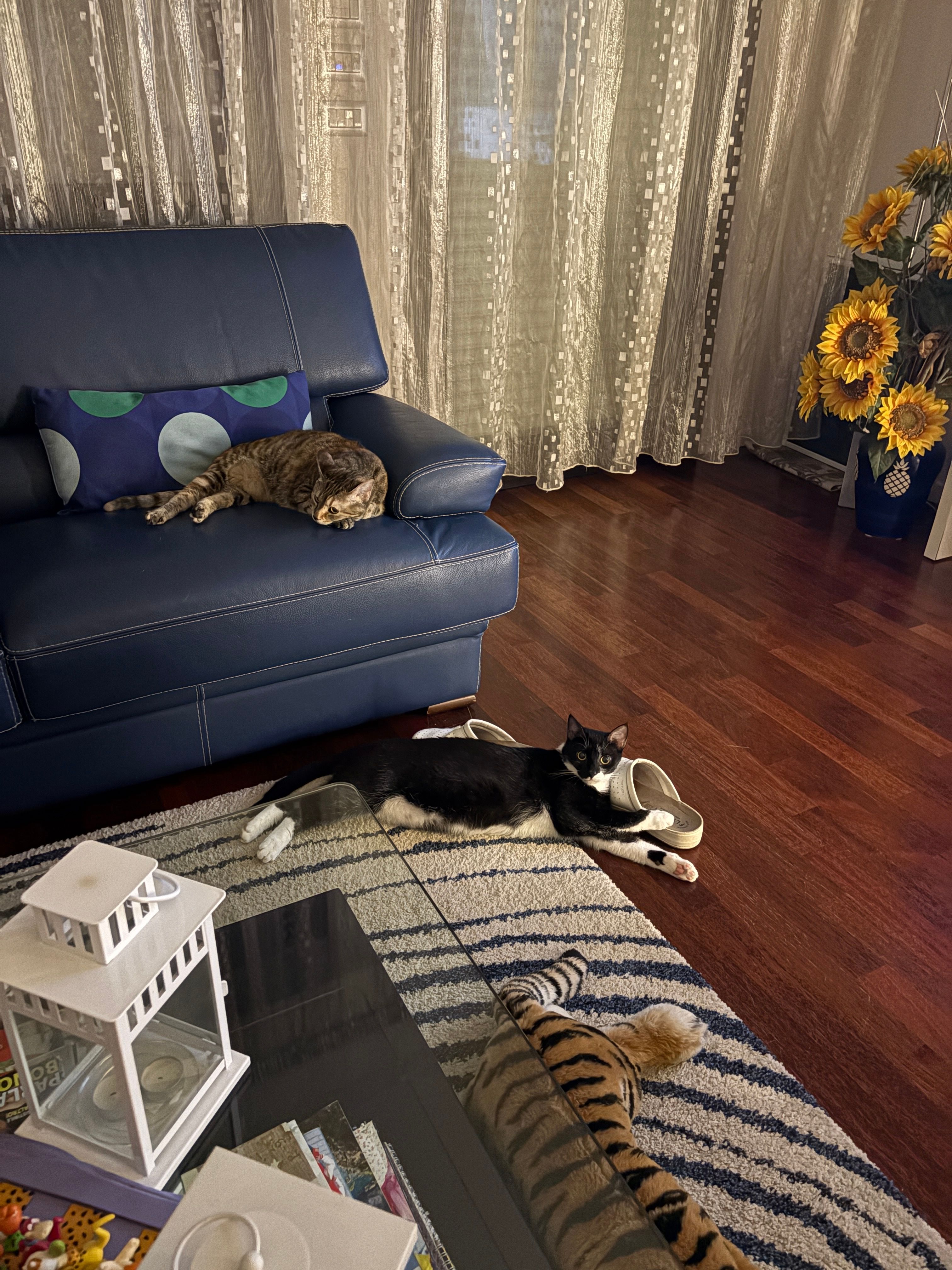 image-9