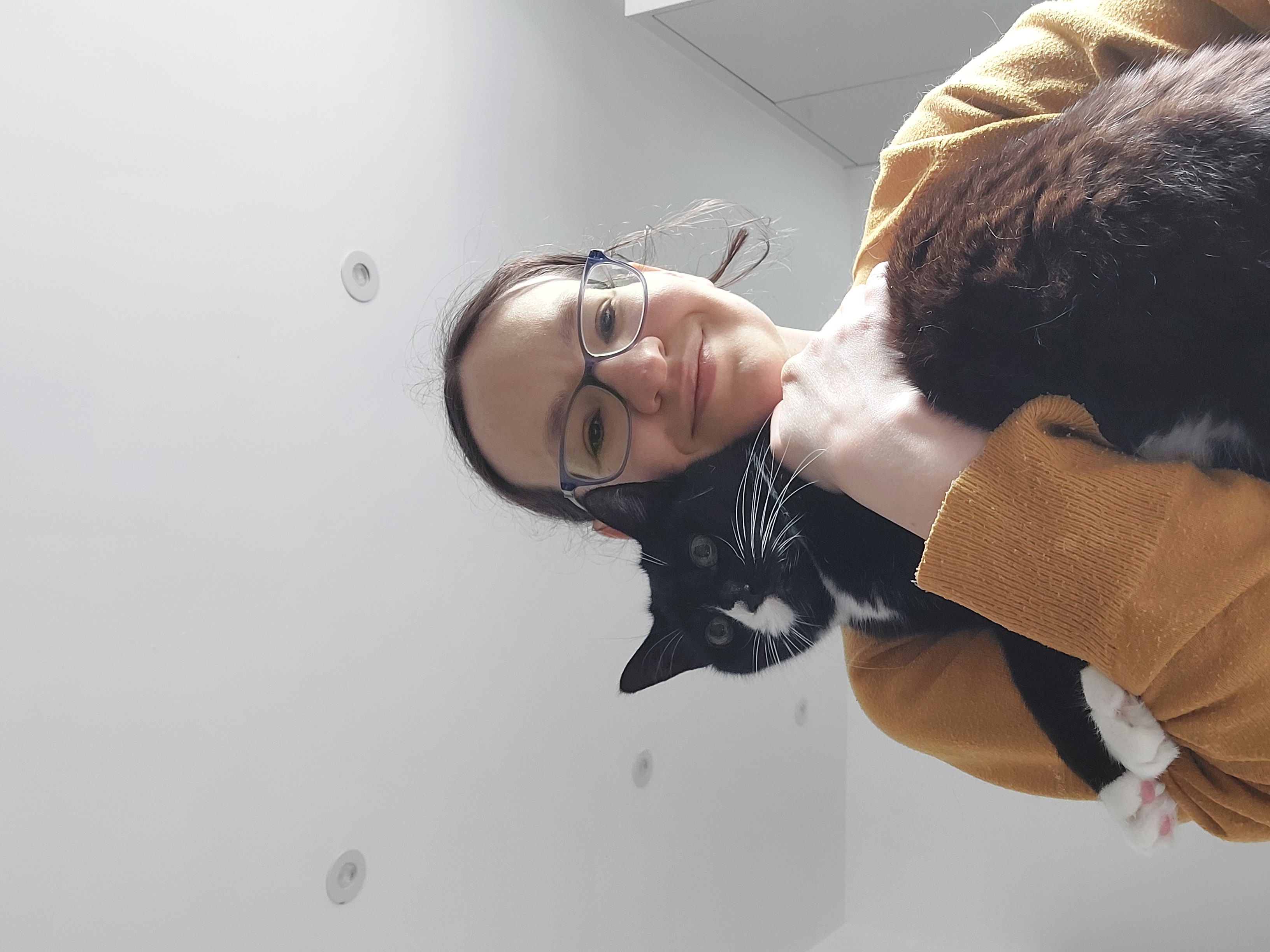 image-6