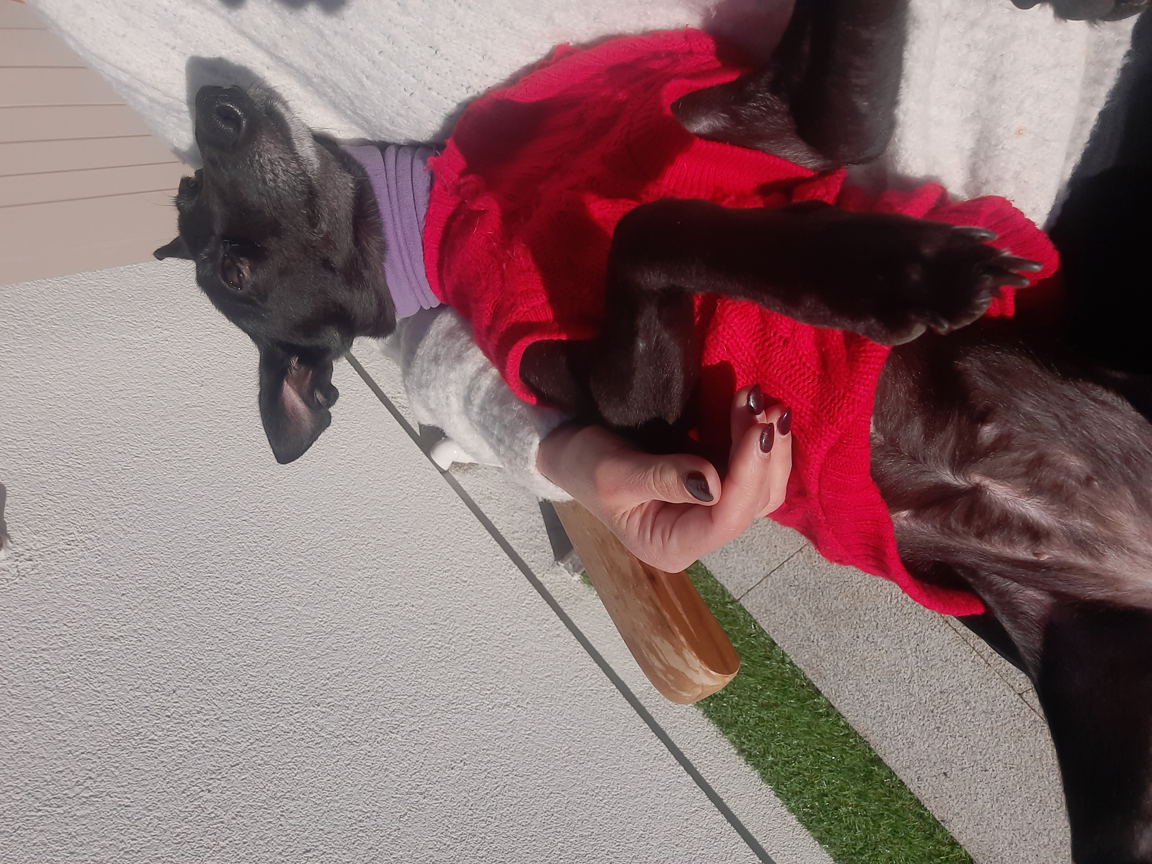 image-5