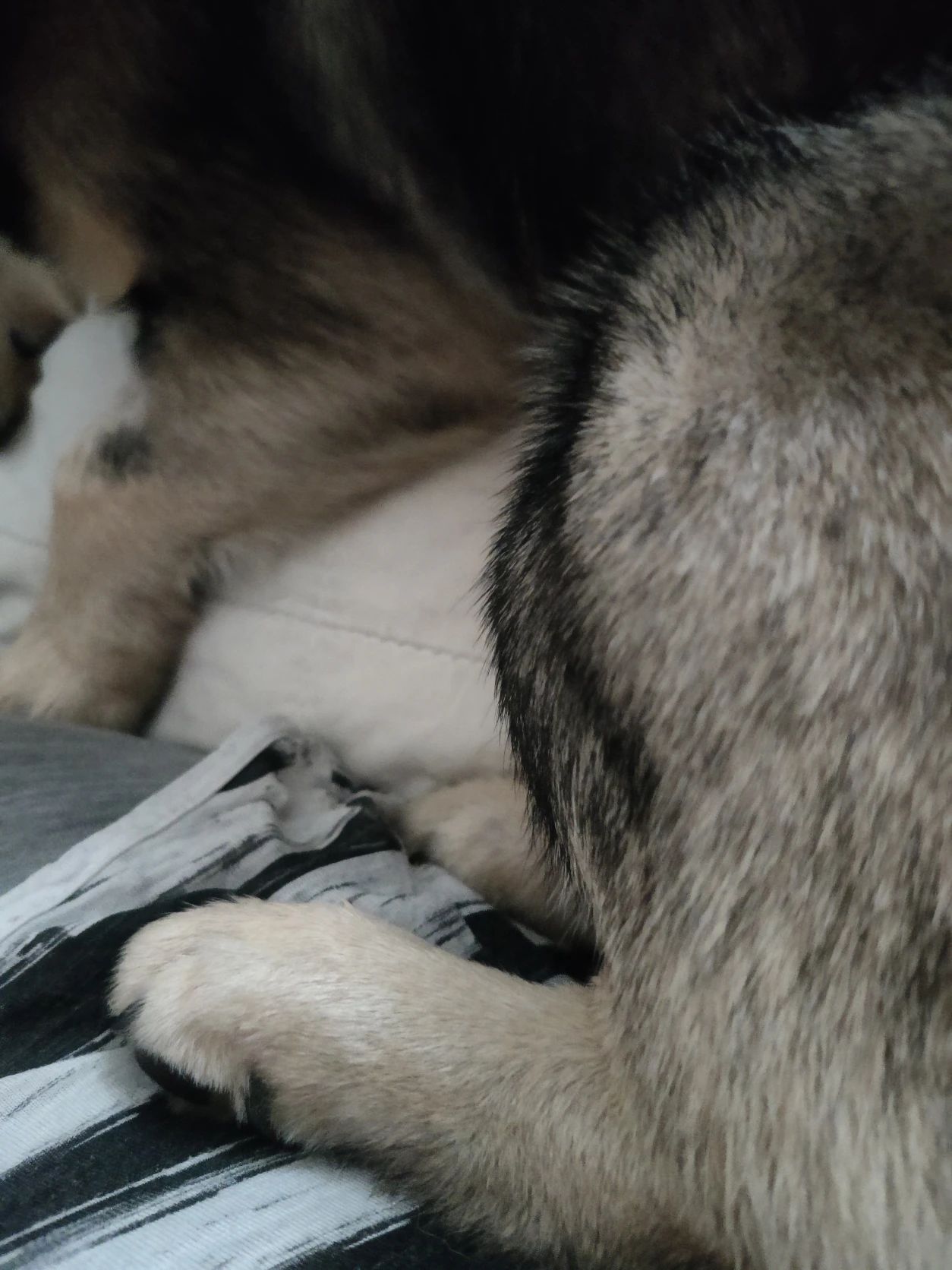 image-16