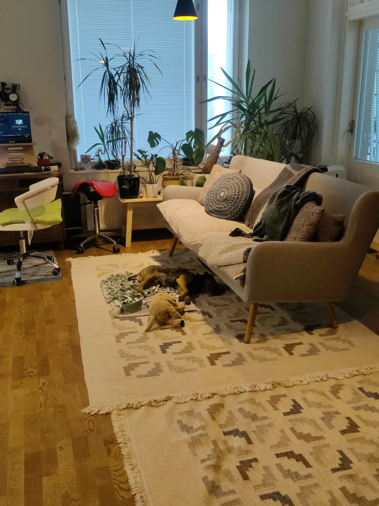 image-23