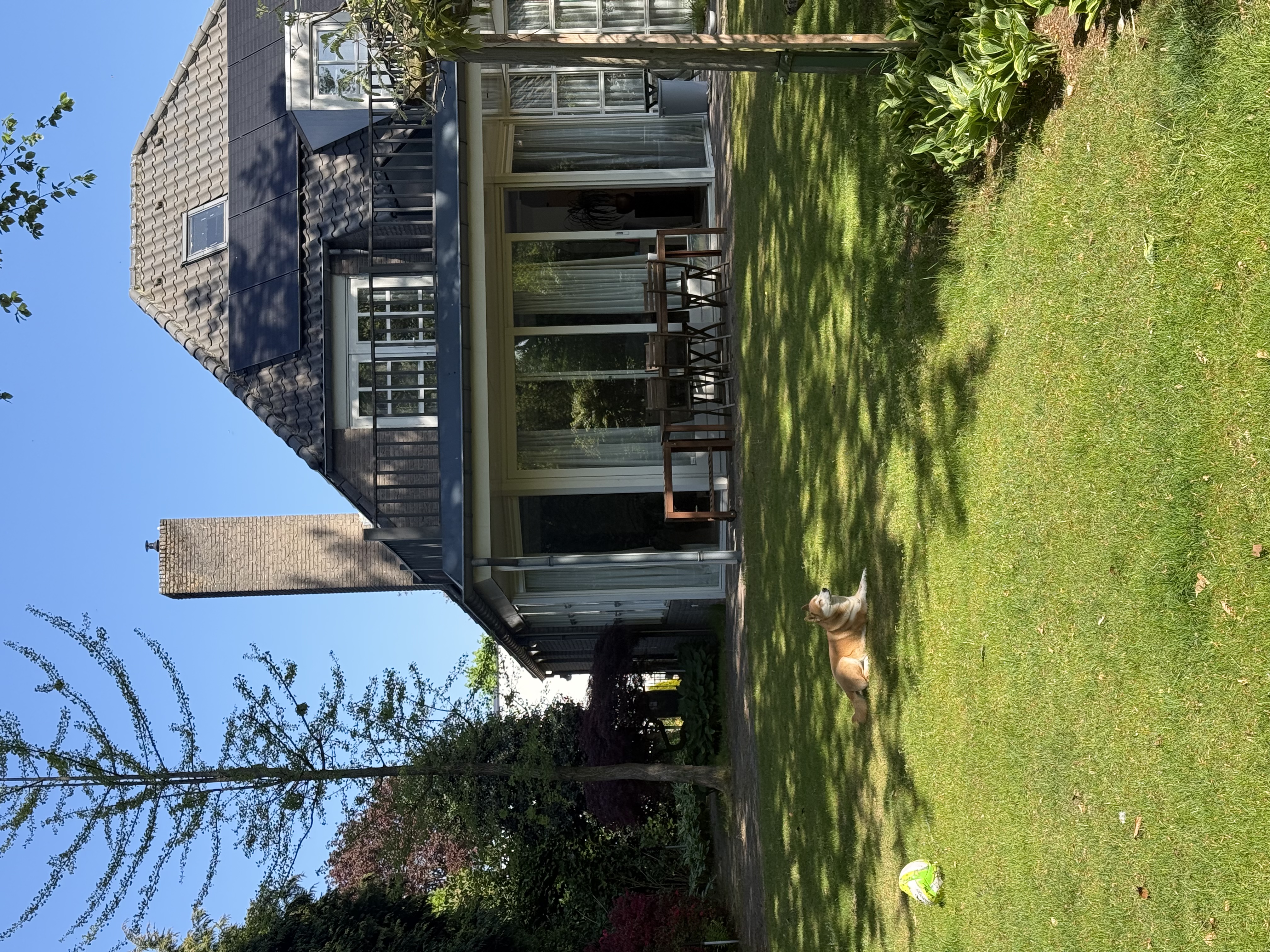 image-16