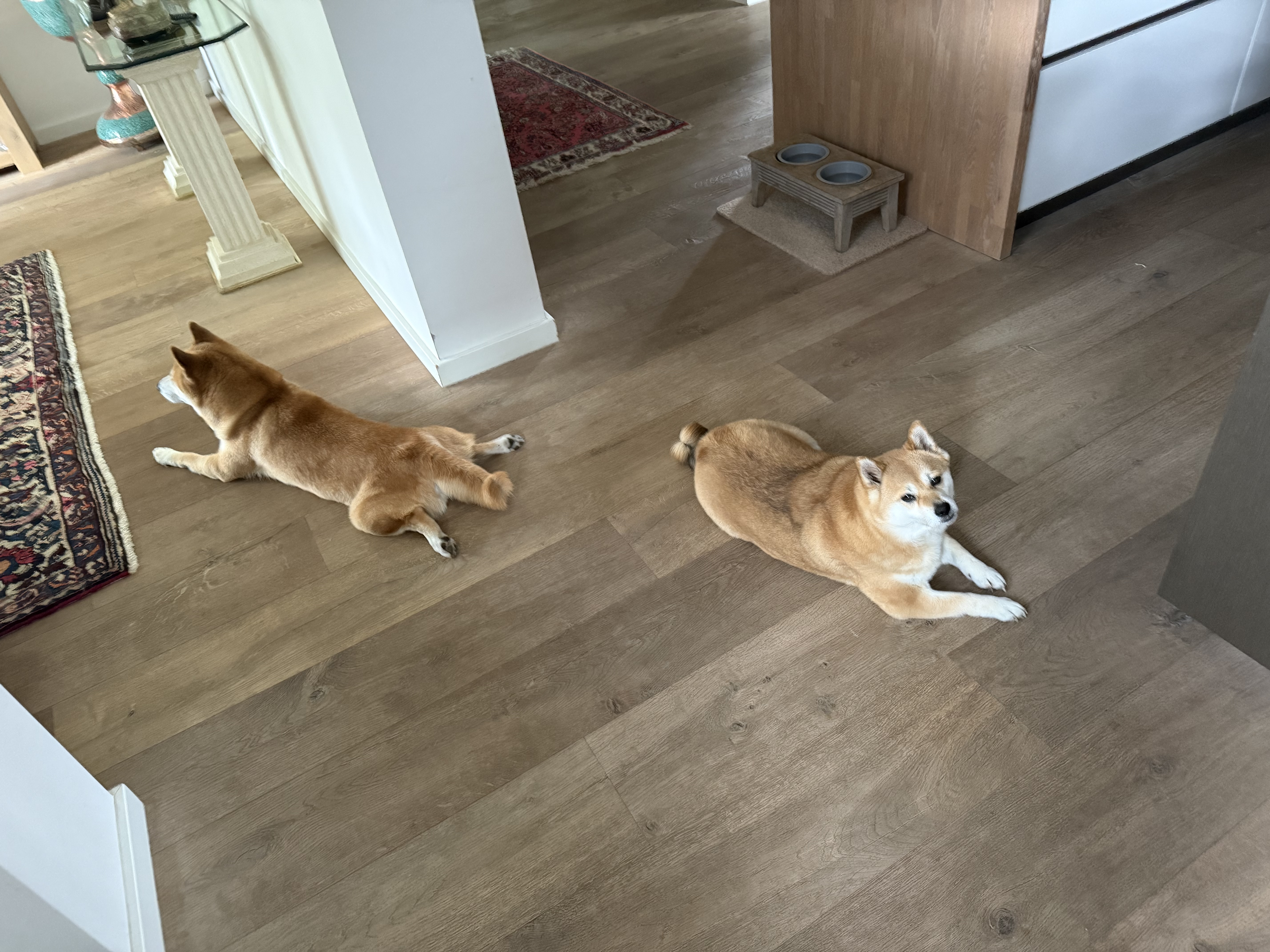 image-13