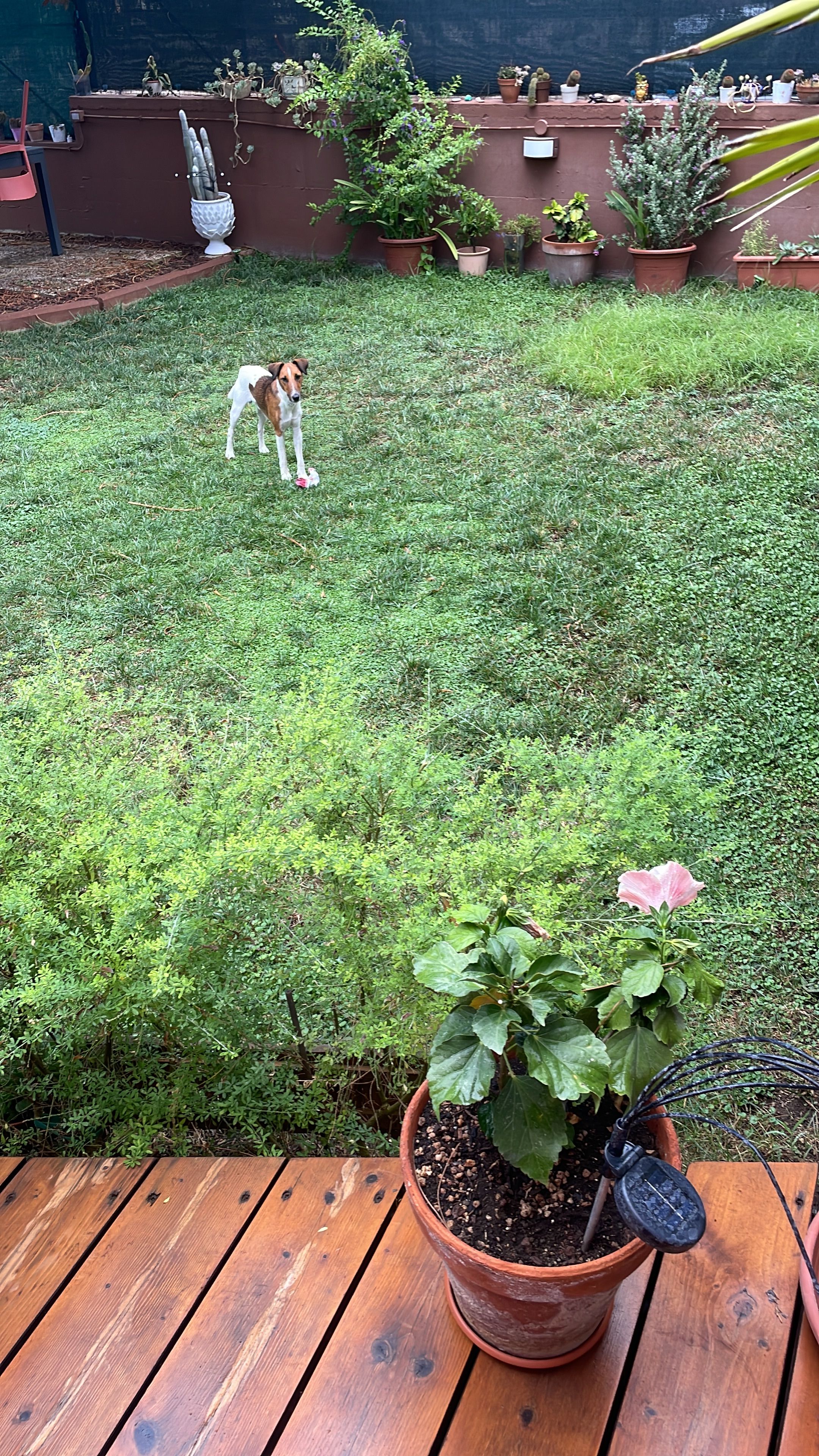 image-7