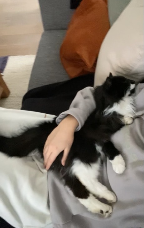 image-6