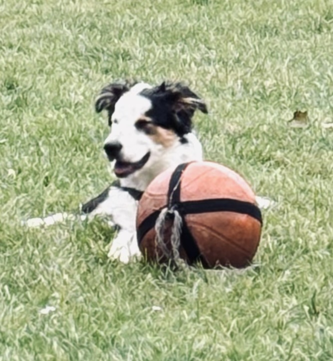 image-4