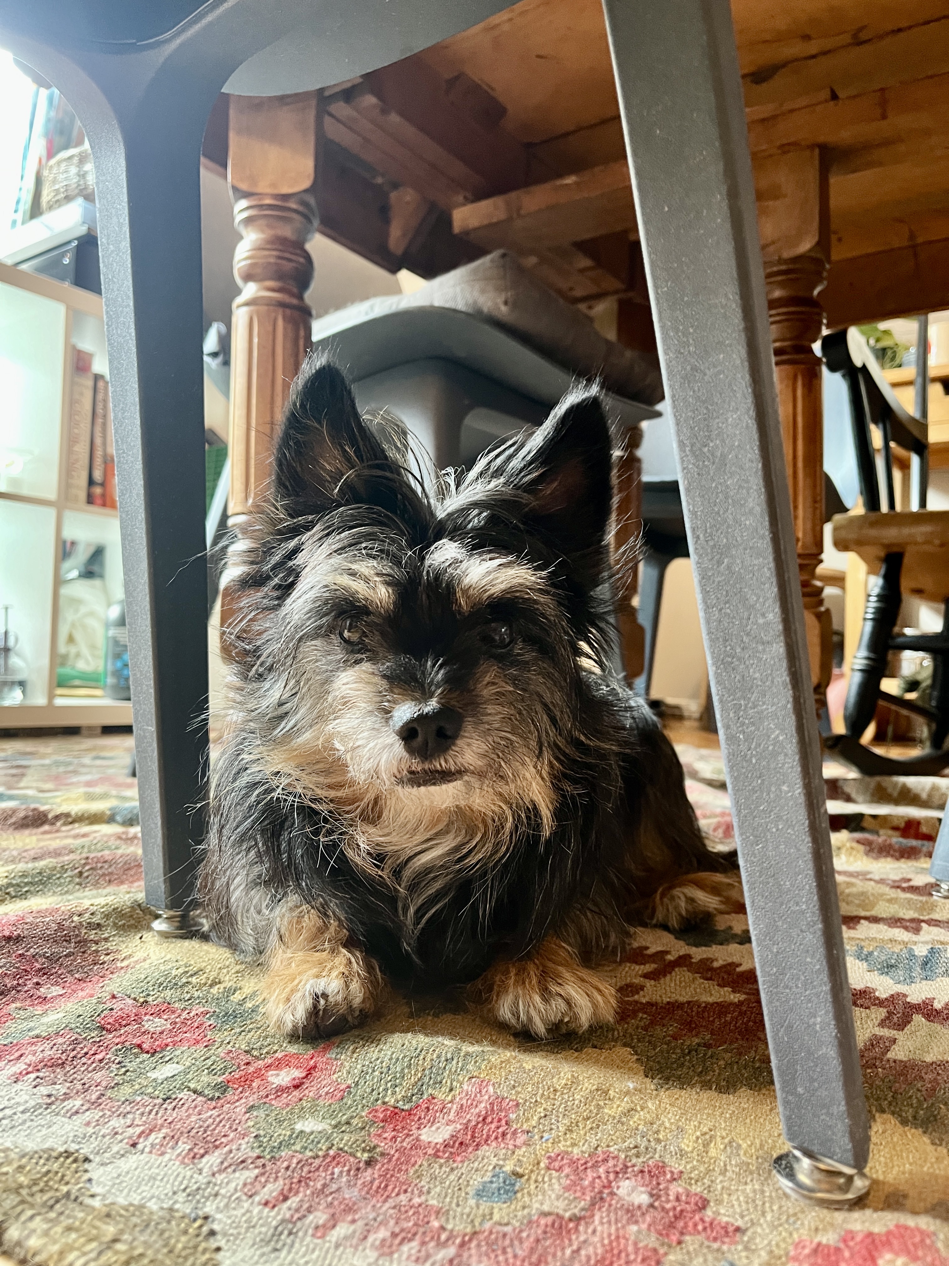 image-15