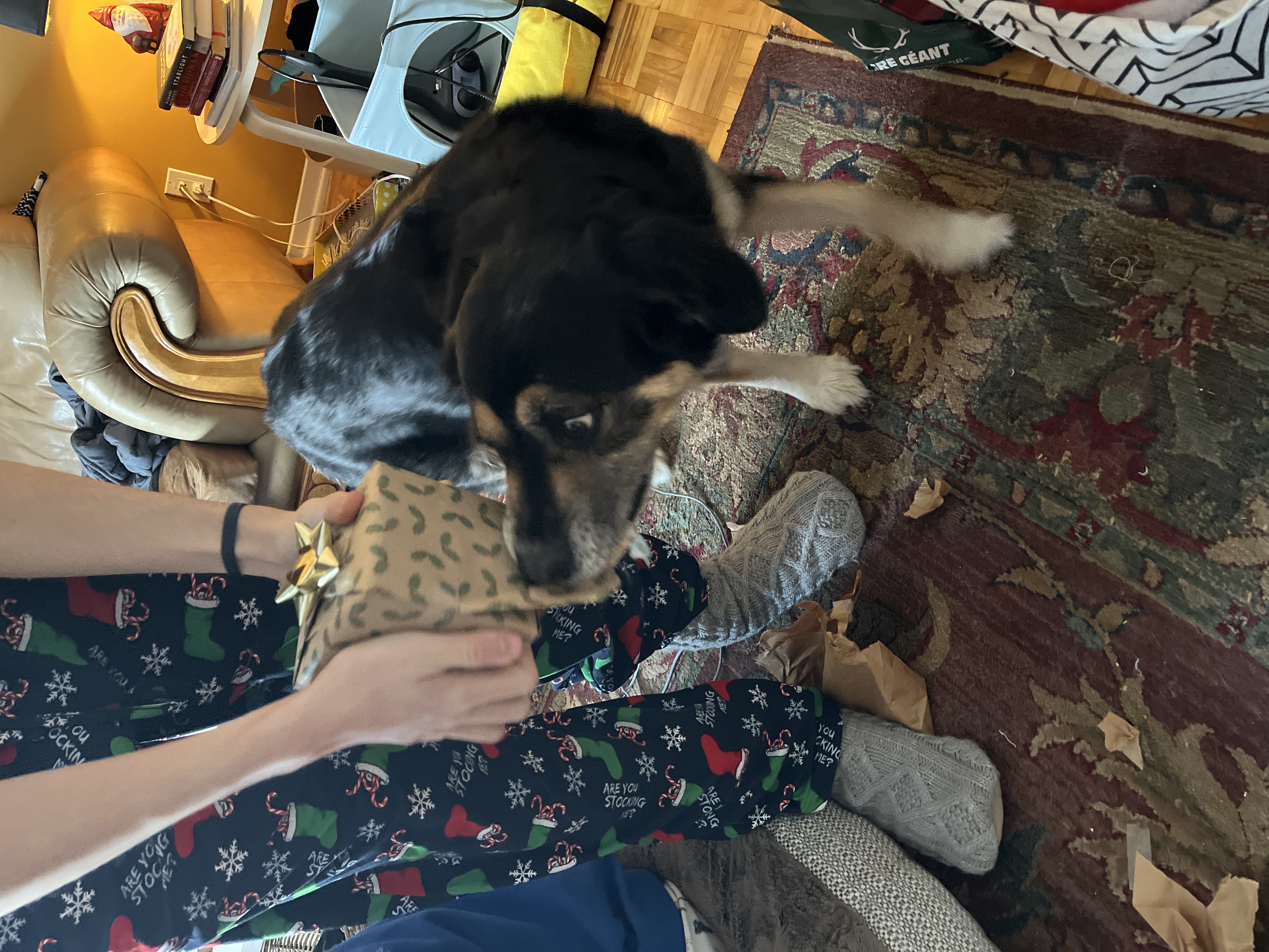 image-11