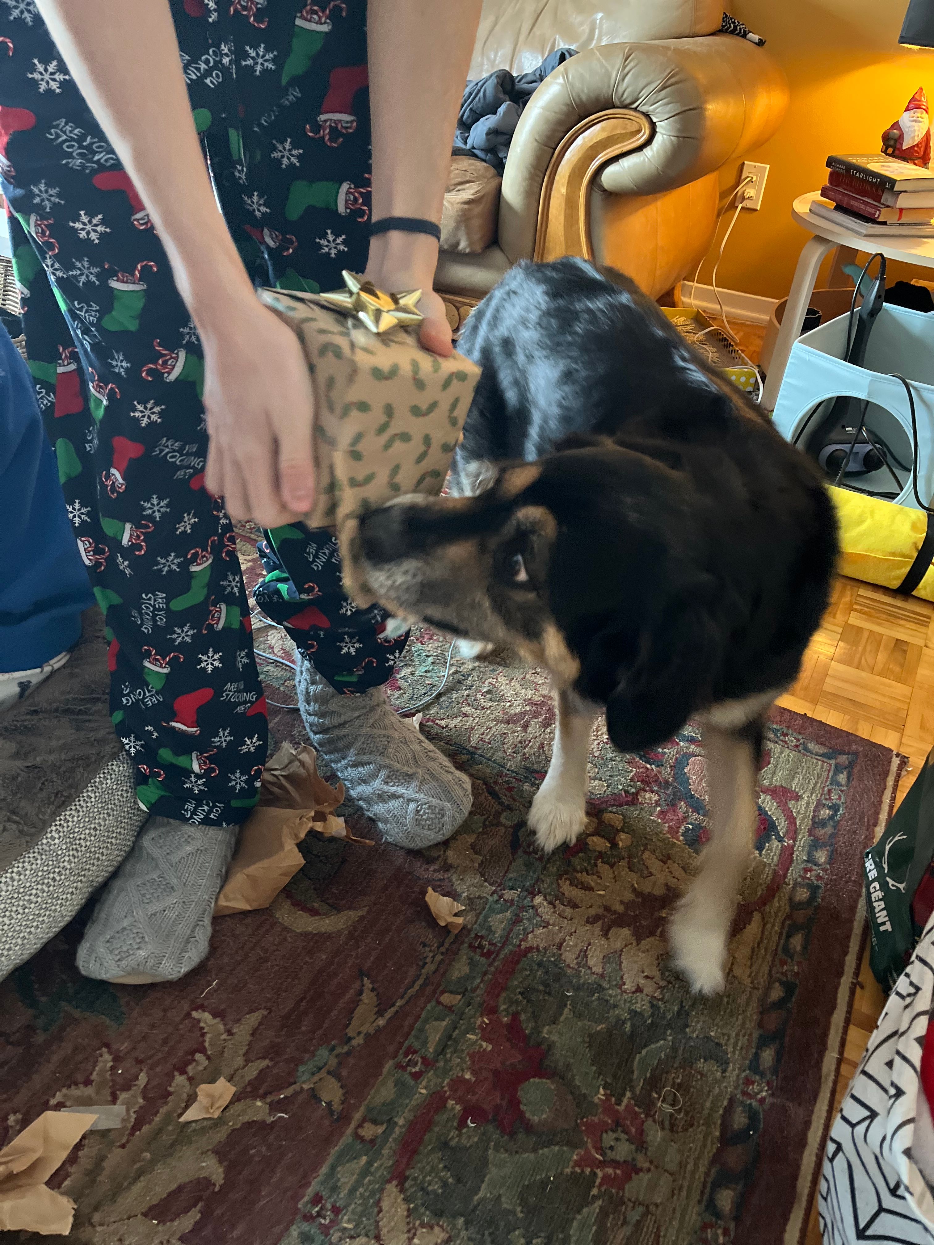 image-11