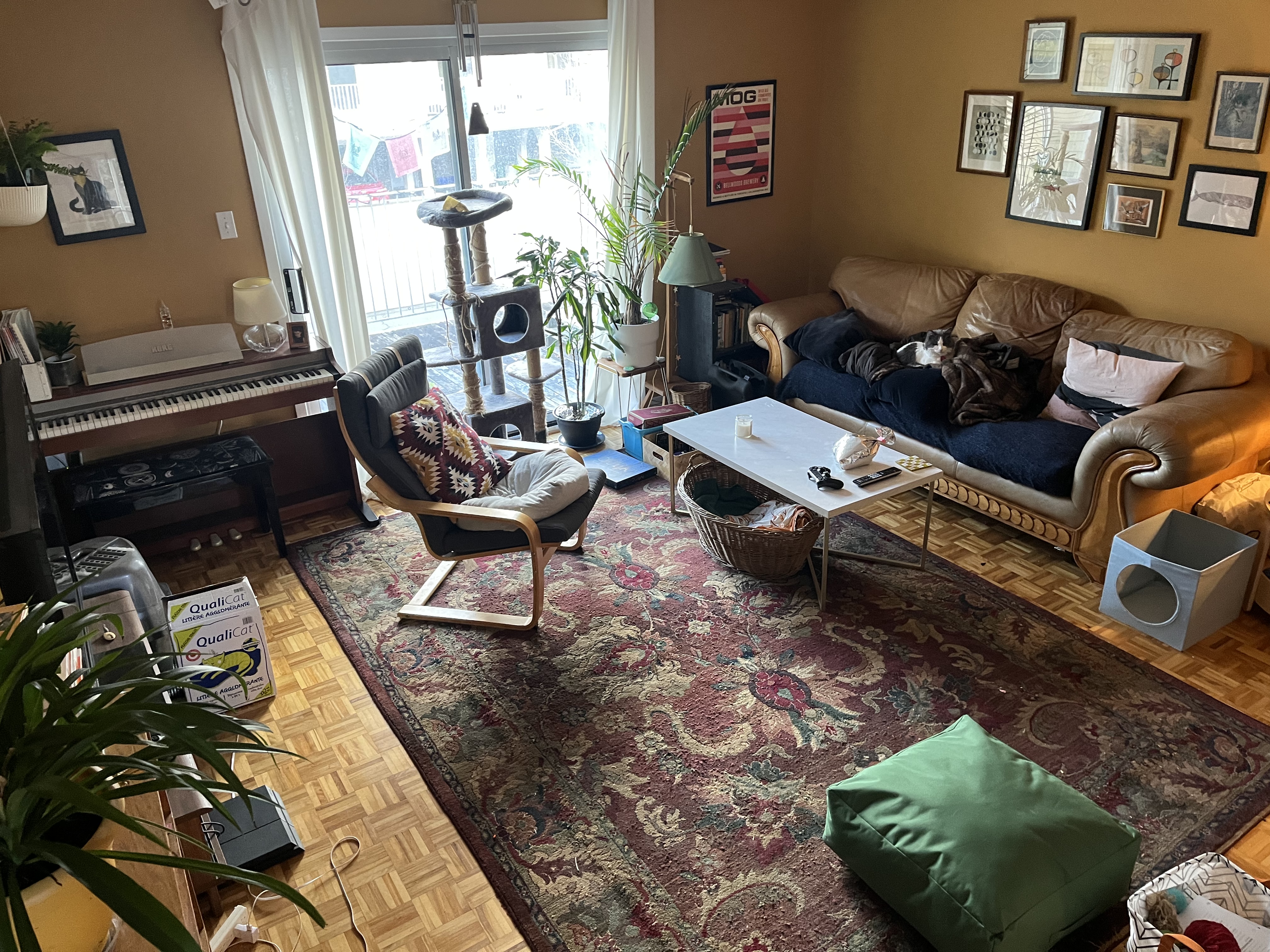 image-21