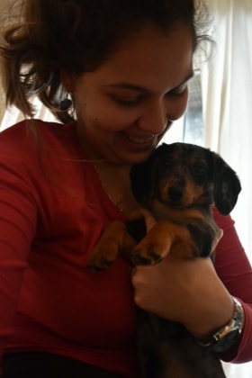 image-4